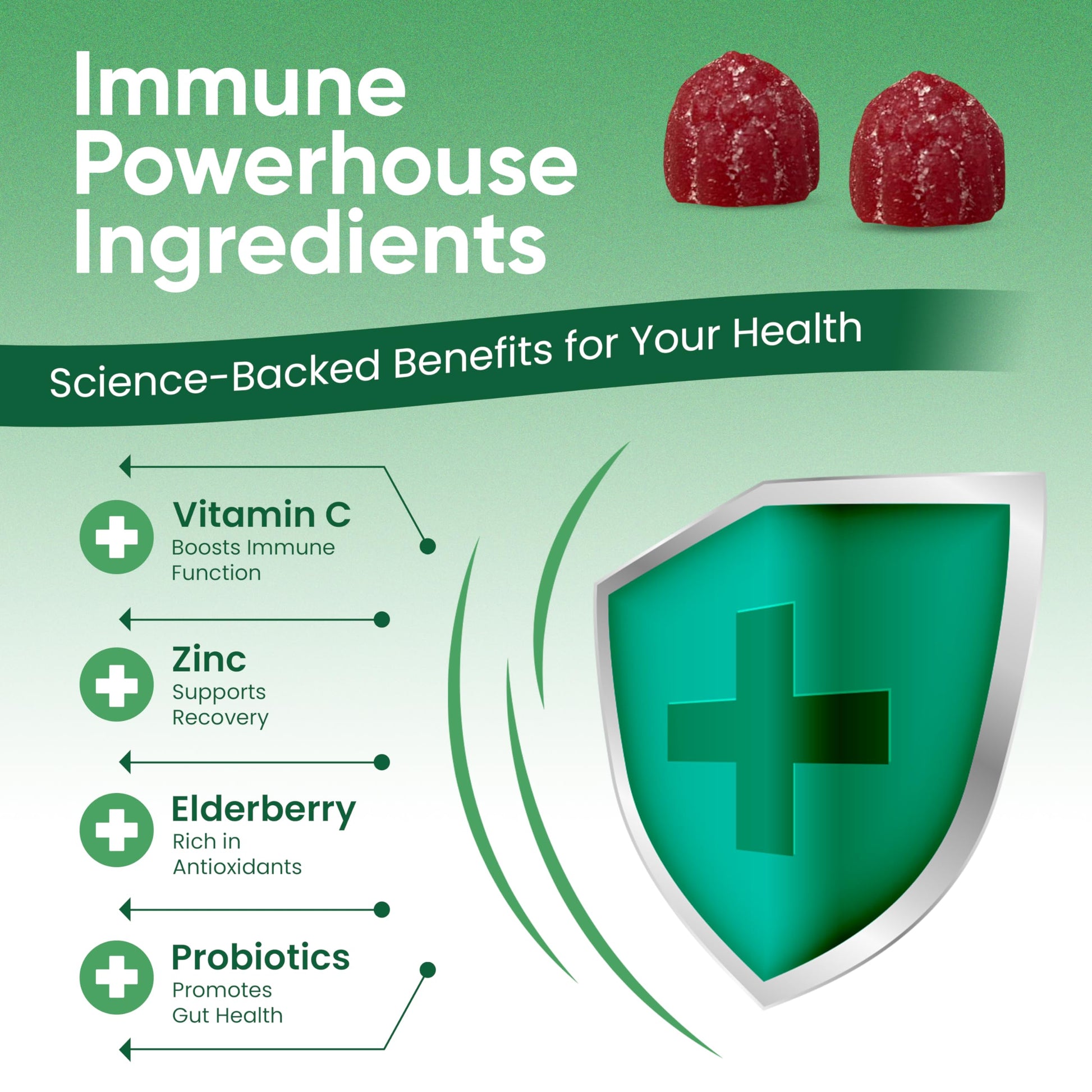 Haydar Marketplace Immune Boosters for Adults - Vegan Immune Support Gummies with Vitamins C & D, Zinc, Magnesium, Probiotics Haydar Marketplace buy supplements canada