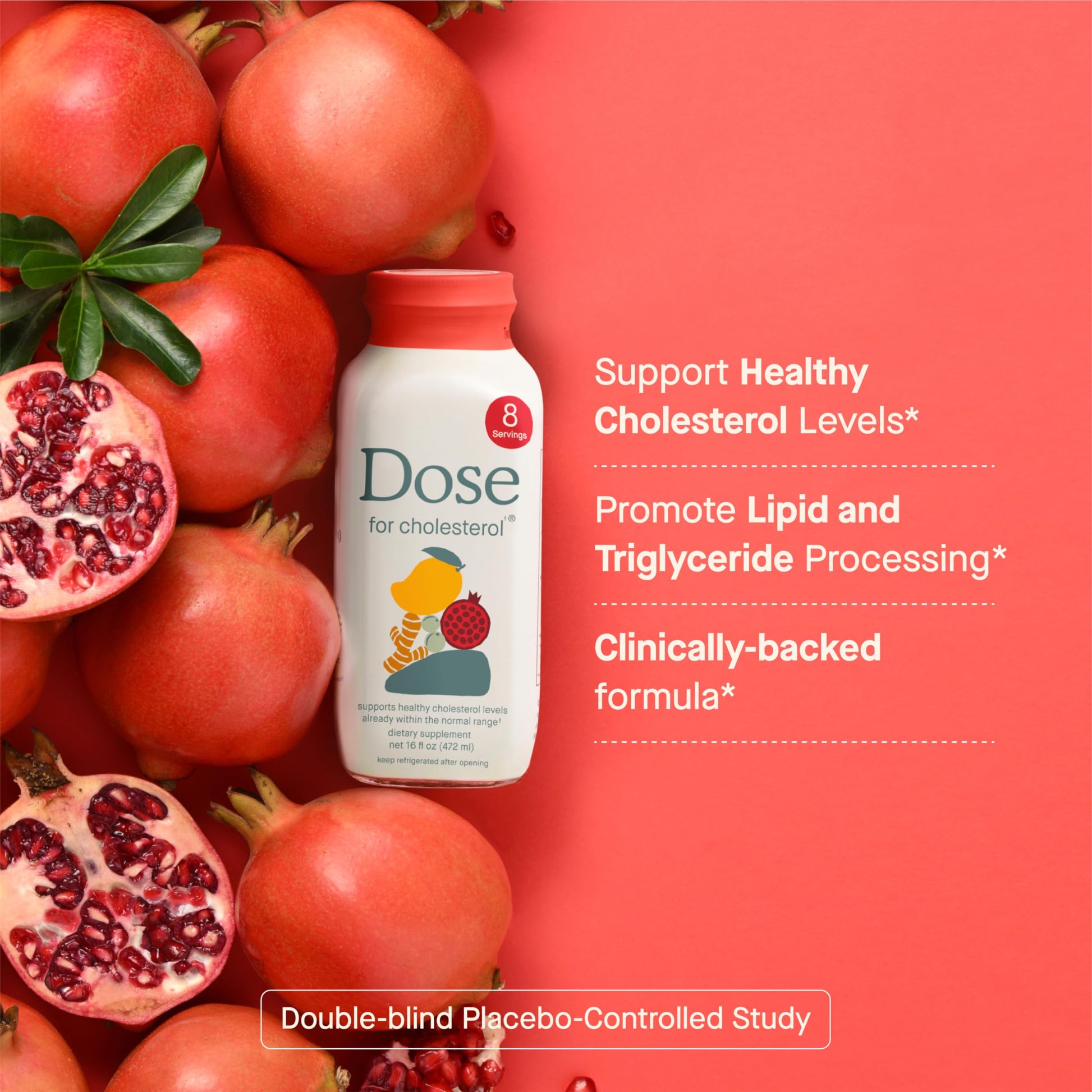 DOSE for Cholesterol Supplements Maintain Healthy Cholesterol Levels and Supports Cardiovascular Health Gluten-Free Vegan Zero Sugar, 16oz Bottle, 3 Pack (3 Week Supply) DOSE buy supplements canada