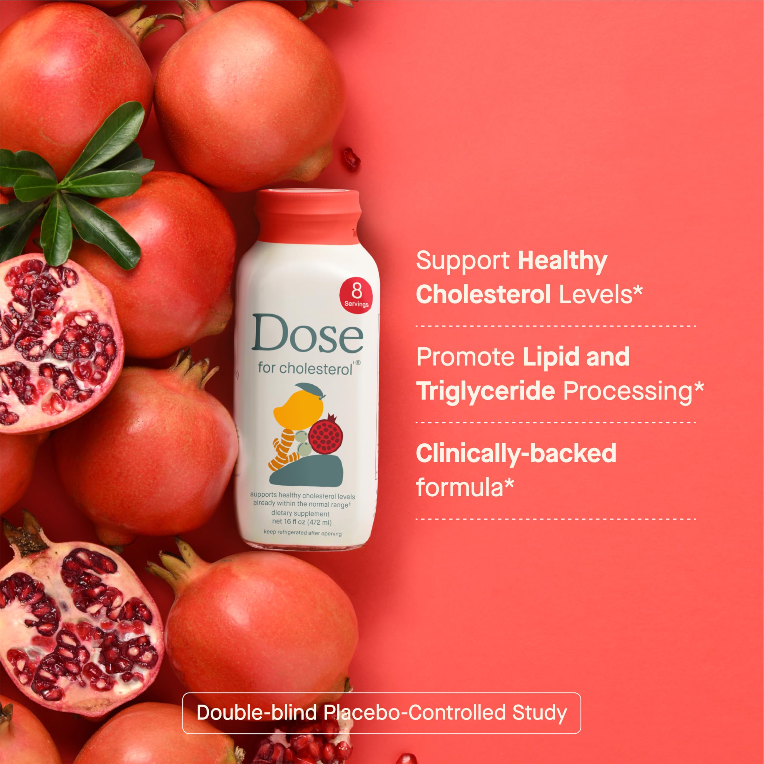 DOSE for Cholesterol Supplements Maintain Healthy Cholesterol Levels and Supports Cardiovascular Health Gluten-Free Vegan Zero Sugar, 16oz Bottle, 3 Pack (3 Week Supply) DOSE buy supplements canada