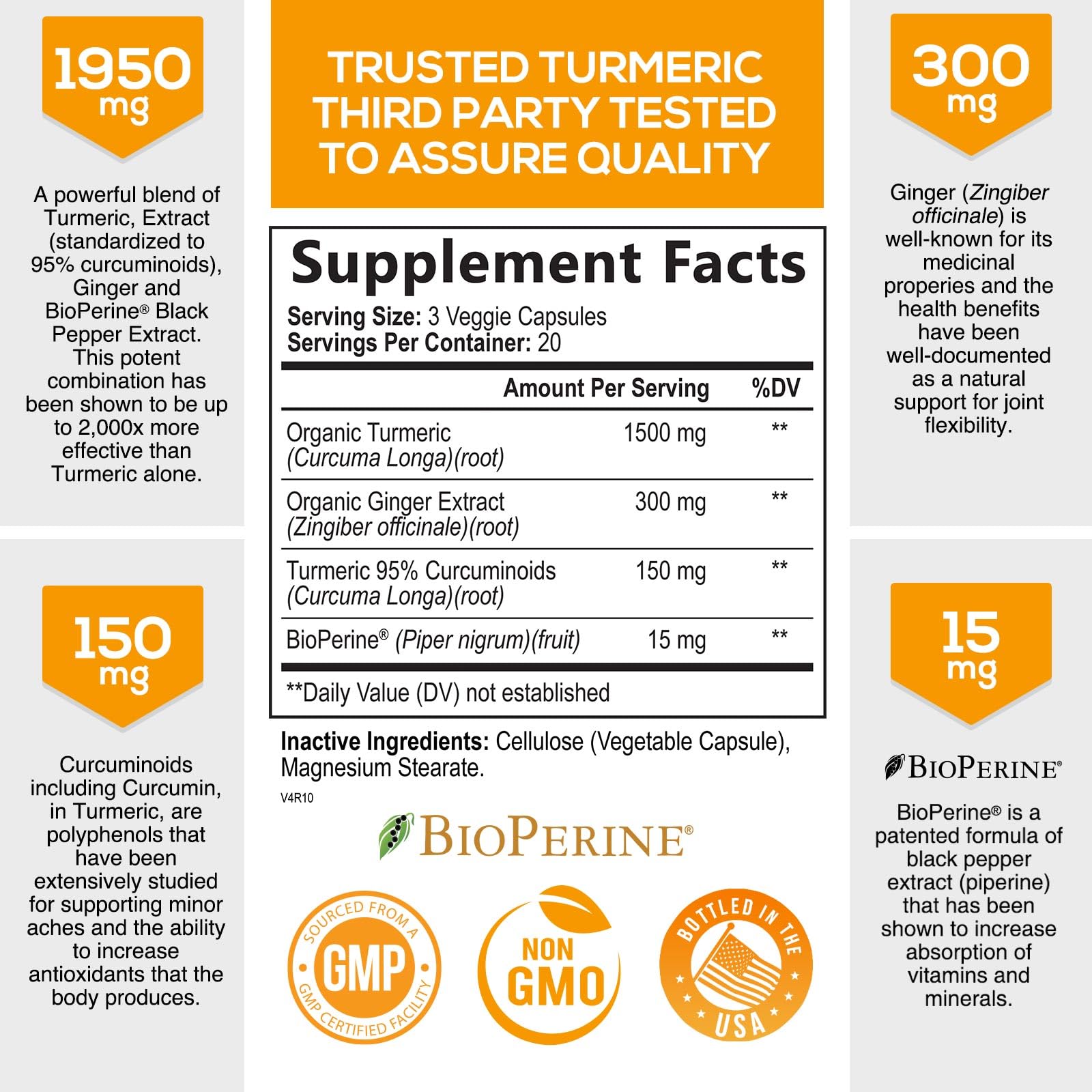 Turmeric Curcumin with BioPerine & Ginger 95% Standardized Curcuminoids Nature's Nutrition buy supplements canada
