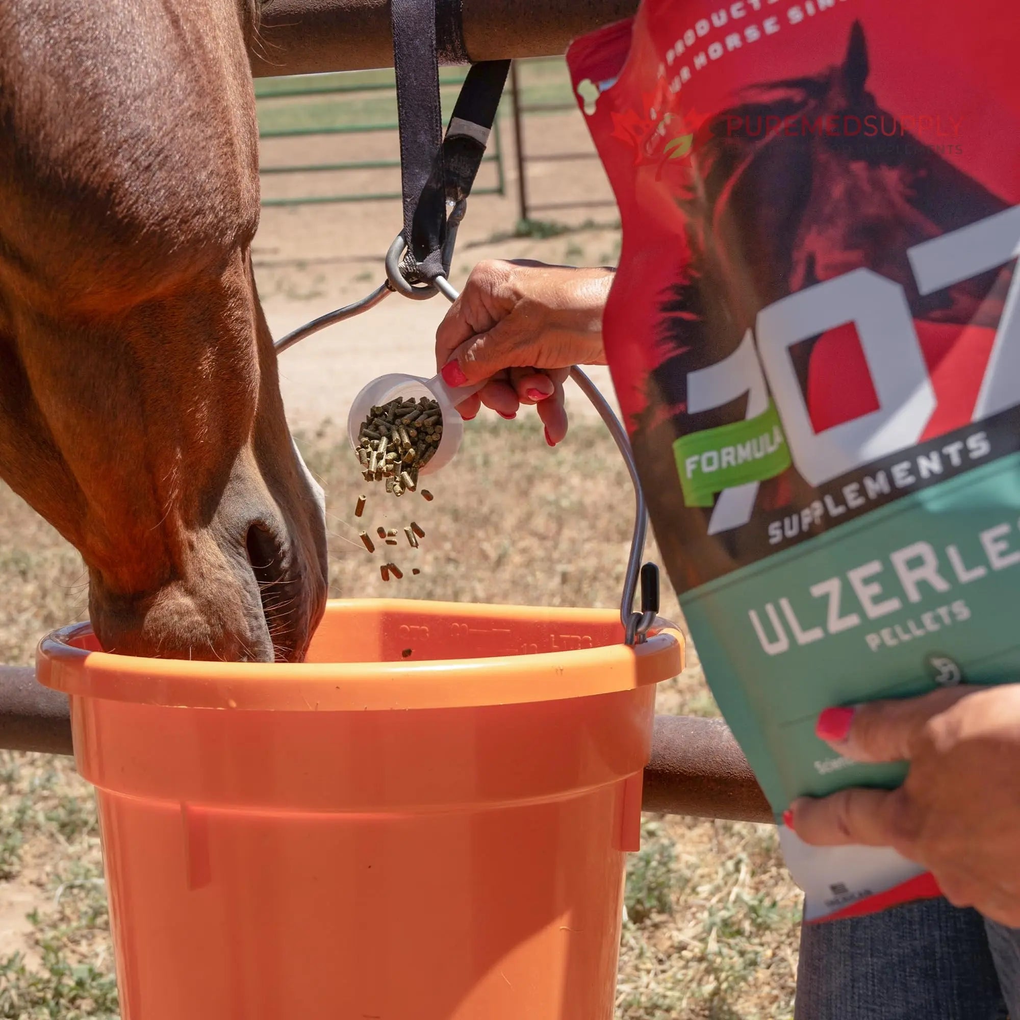 Formula 707 ULZERless Equine Supplement, 7.5lb Bag - Natural Gut Support for Horses with Ulcer Risk Factors Formula 707 buy supplements canada