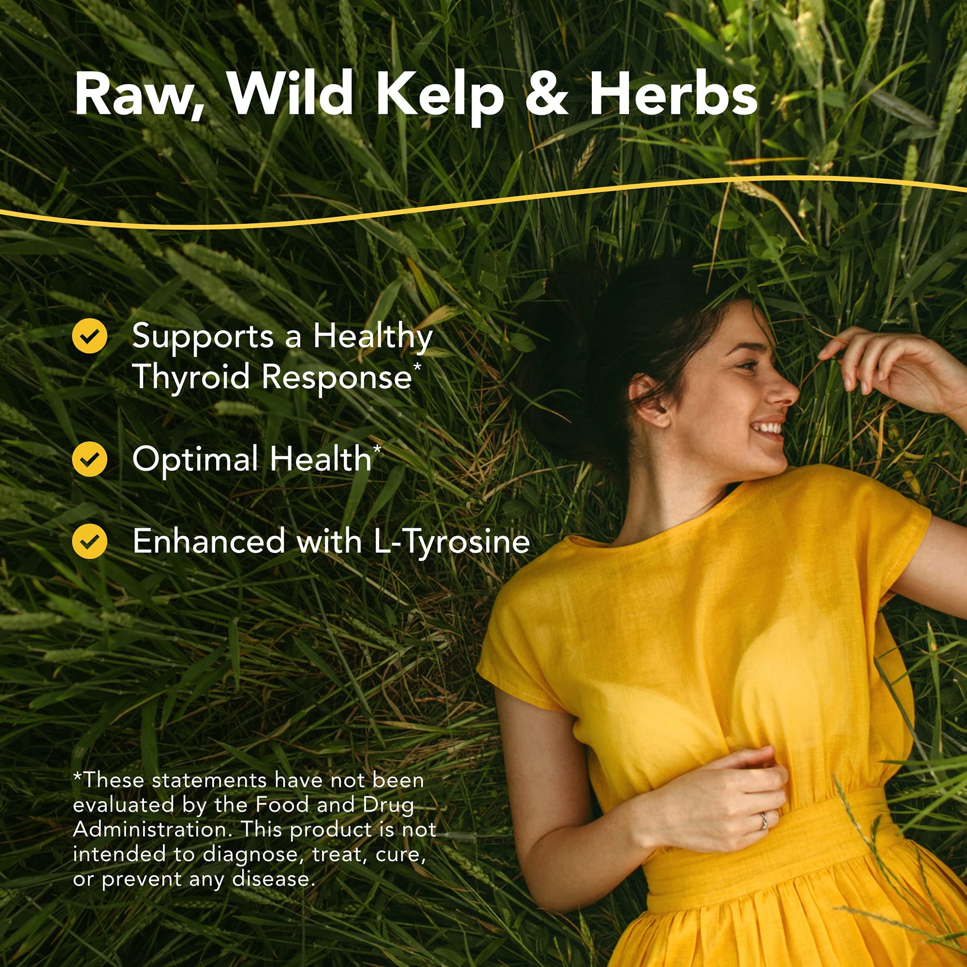 NORTH AMERICAN HERB & SPICE Thyroset - 90 Capsules - Wild Kelp & Herbs Blend - Healthy Thyroid Support - Contains Trace Minerals, Natural Iodine, Antioxidants & Amino Acids - 45 Servings NORTH AMERICAN HERB & SPICE buy supplements canada
