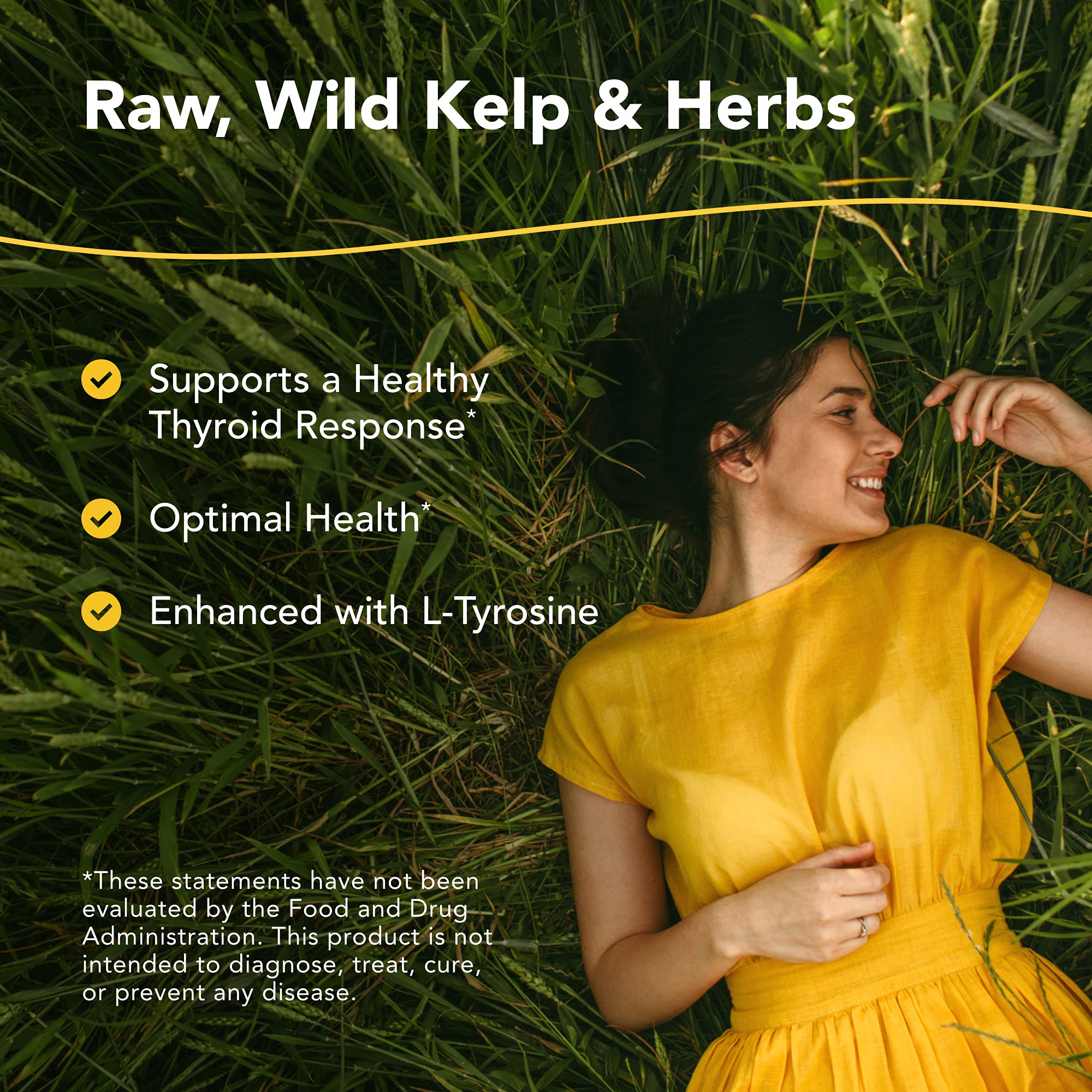 NORTH AMERICAN HERB & SPICE Thyroset - 90 Capsules - Wild Kelp & Herbs Blend - Healthy Thyroid Support - Contains Trace Minerals, Natural Iodine, Antioxidants & Amino Acids - 45 Servings NORTH AMERICAN HERB & SPICE buy supplements canada