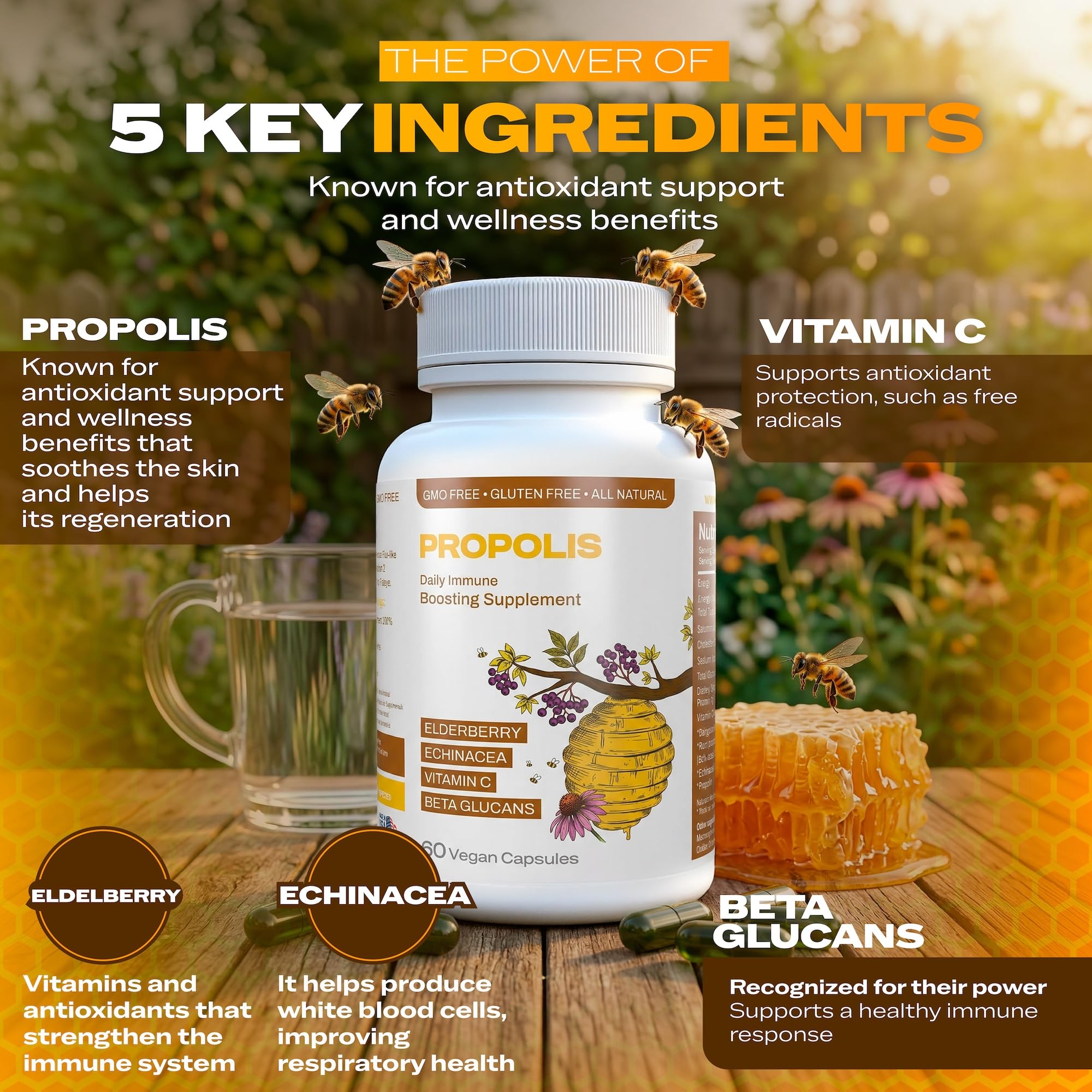 Only Nutri Labs Bee Propolis Dietary Supplement, with Elderberry, Echinacea, Vitamin C and Beta Glucans - Daily Wellness Capsules for Adults (60 Count) Only Nutri Labs buy supplements canada