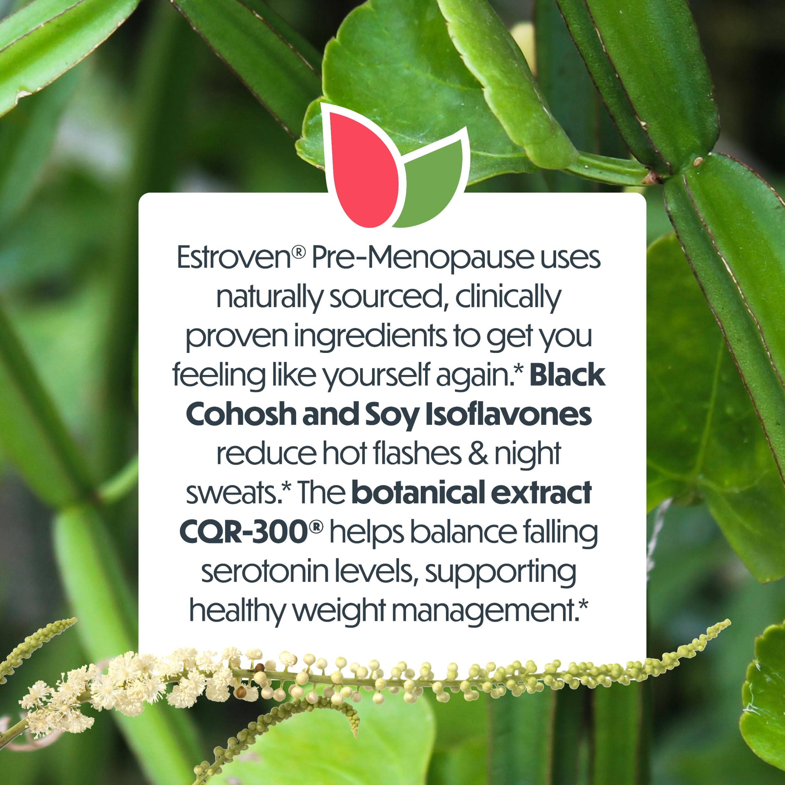 Estroven Pre-Menopause Relief, 30 Ct., Clinically Proven Ingredients, Provides Menopause Relief plus Night Sweats & Hot Flash Relief, Drug-Free or Estrogen Free Estroven buy supplements canada