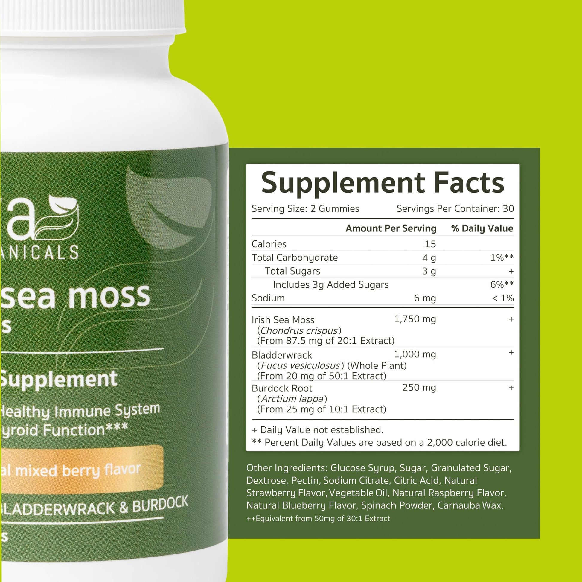 Jiva Botanicals - Irish Sea Moss Gummies with Bladderwrack & Burdock Root 3000mg Jiva Botanicals buy supplements canada