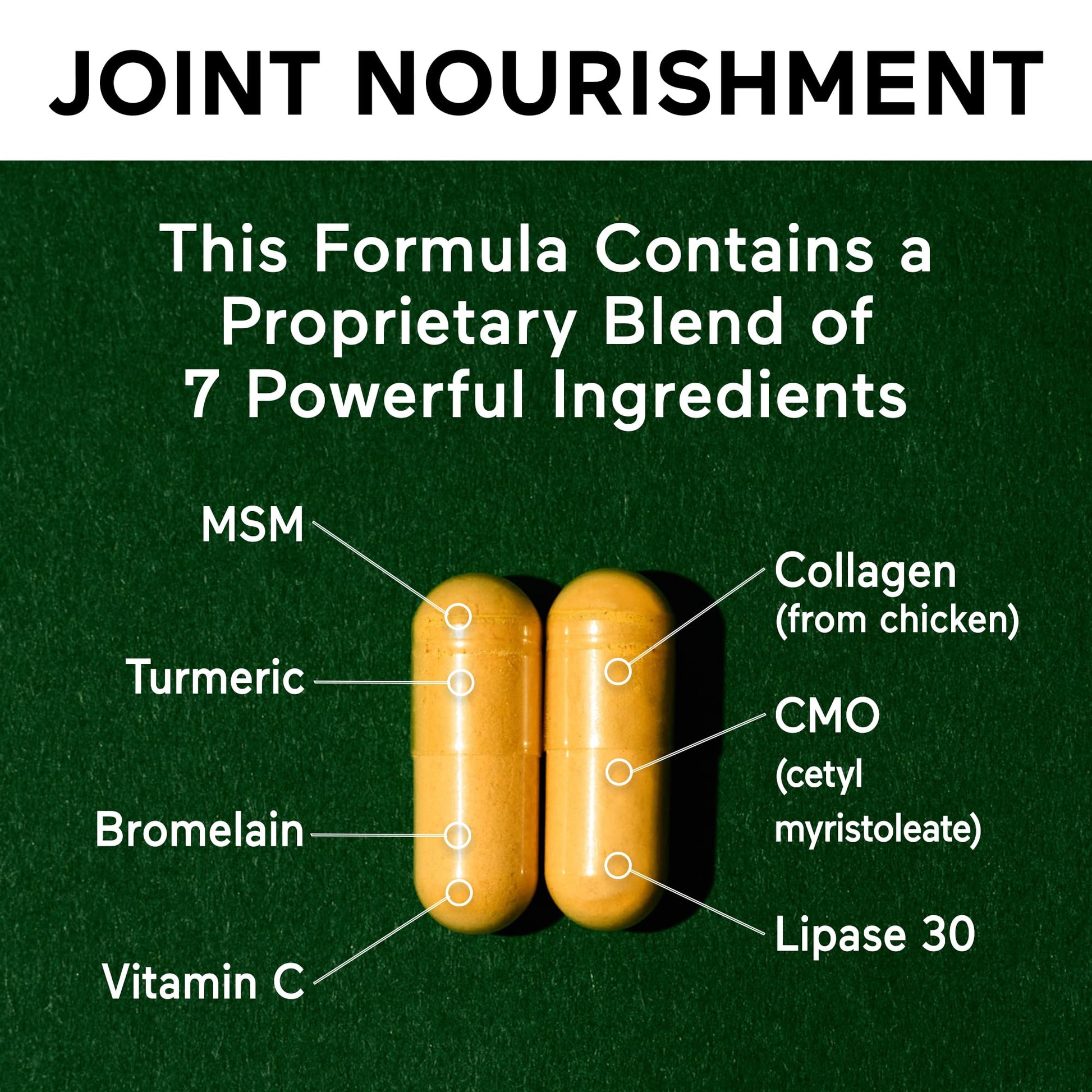 SMARTERNUTRITION Joint Food - Whole-Food Joint Supplement to Support Lubrication & Mobility - Formulated with Collagen Type II, MSM, Vitamin C, Turmeric, Bromelain - 6 Pack[180-Day Supply] SMARTERNUTRITION buy supplements canada