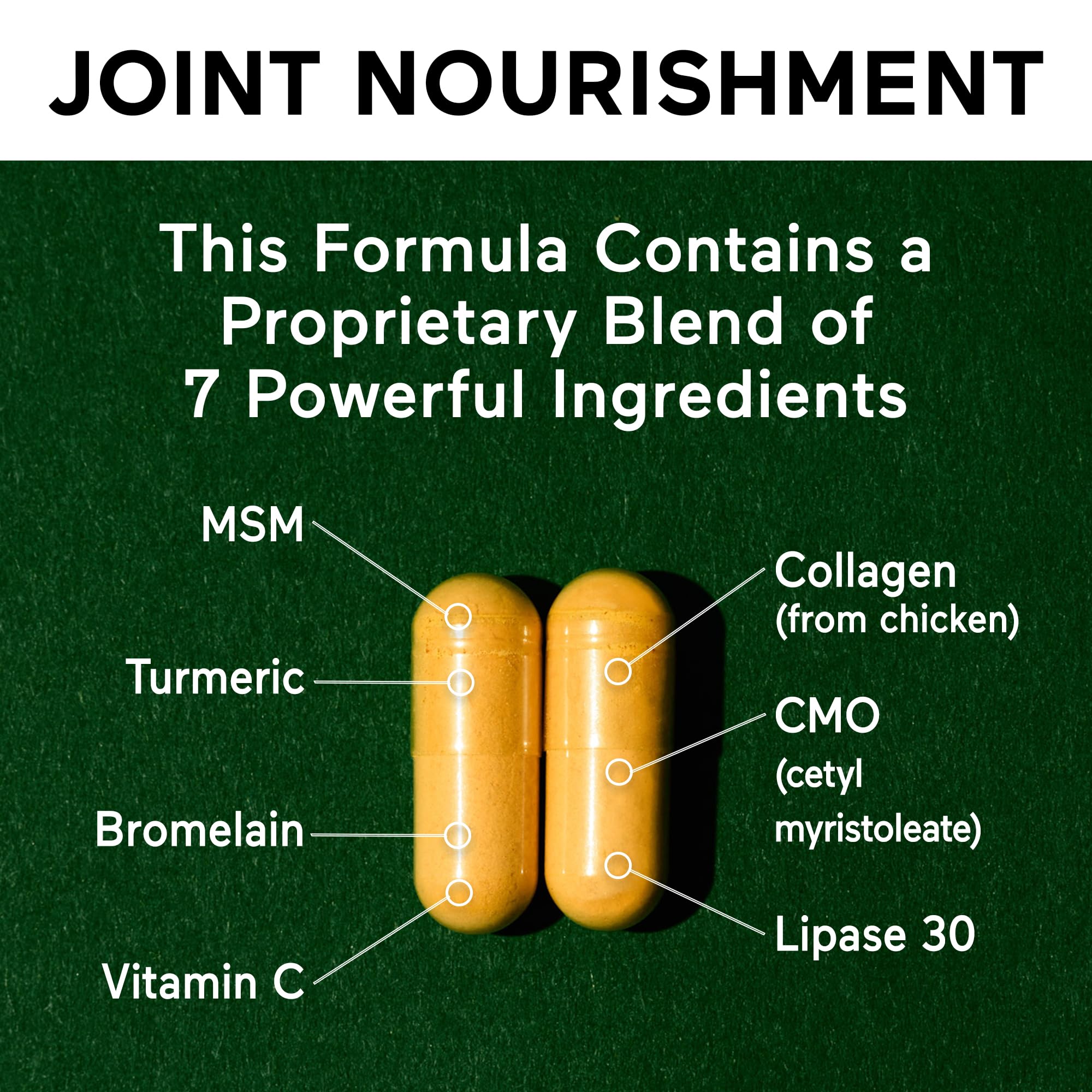 SMARTERNUTRITION Joint Food - Whole-Food Joint Supplement to Support Lubrication & Mobility - Formulated with Collagen Type II, MSM, Vitamin C, Turmeric, Bromelain - 6 Pack[180-Day Supply] SMARTERNUTRITION buy supplements canada