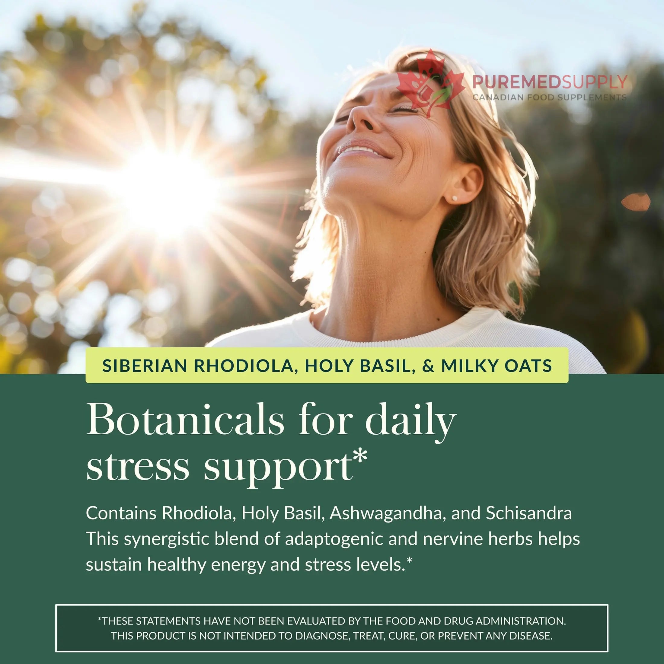 Gaia Herbs Adrenal Health Daily Support, Help Maintain Healthy Energy & Stress Levels*,120 Liquid Phyto-Caps Adrenal Health Nightly Restore, 120 Liquid Phyto-Caps - Bundle Gaia Herbs buy supplements canada