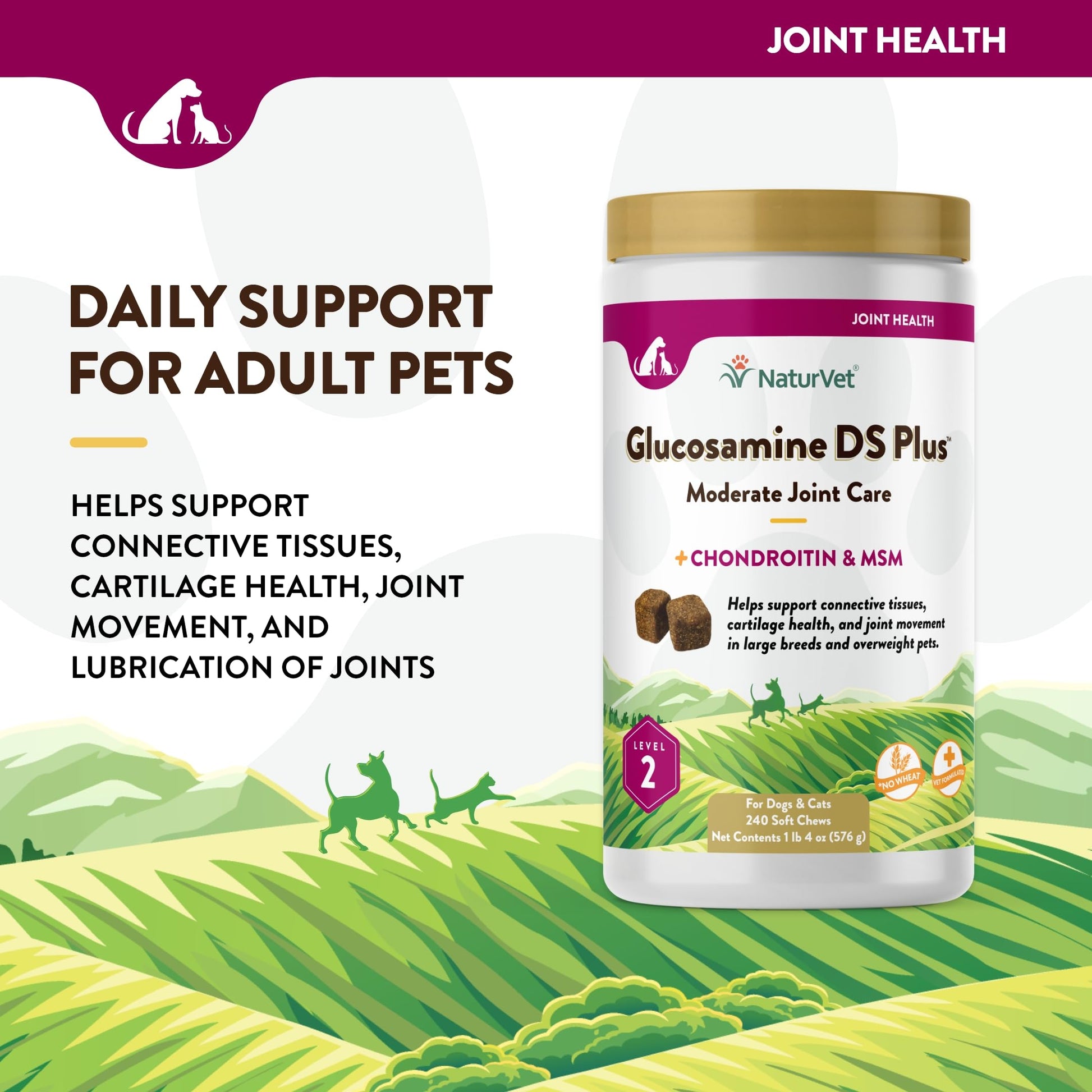 NaturVet – Glucosamine DS Plus - Level 2 Moderate Care – Supports Healthy Hip & Joint Function – Enhanced with Glucosamine, MSM & Chondroitin – for Dogs & Cats – 240 Soft Chews NaturVet buy supplements canada