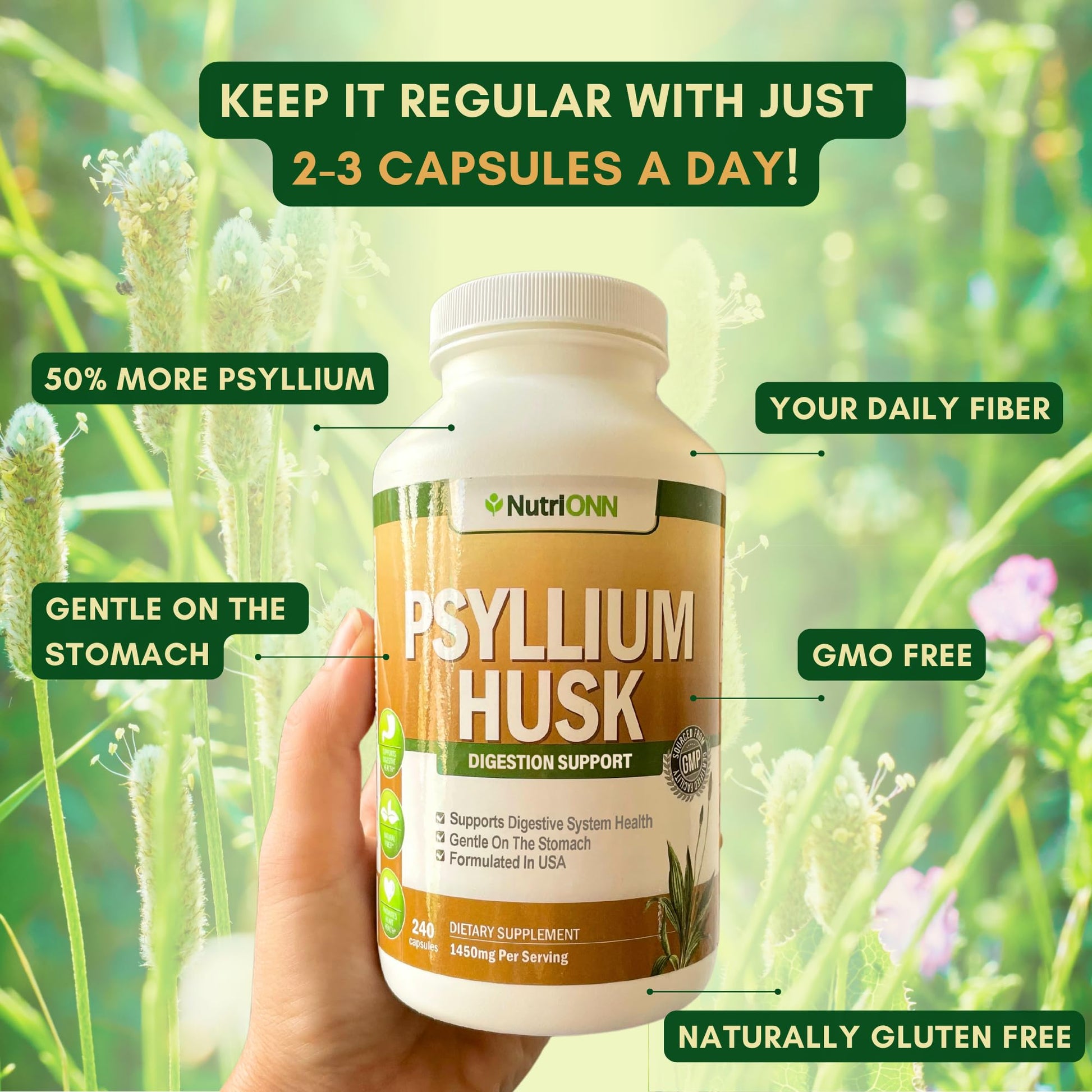 NutriONN PSYLLIUM Husk Capsules - 1450mg Per Serving - 240 Capsules - Double Strength NutriONN buy supplements canada