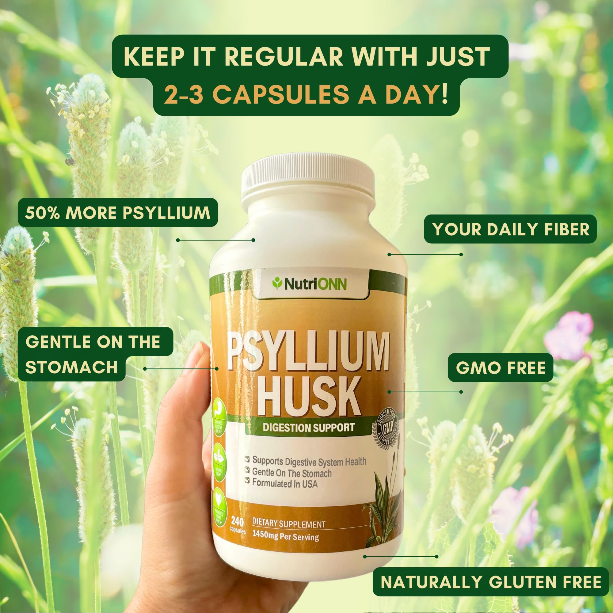 NutriONN PSYLLIUM Husk Capsules - 1450mg Per Serving - 240 Capsules - Double Strength NutriONN buy supplements canada