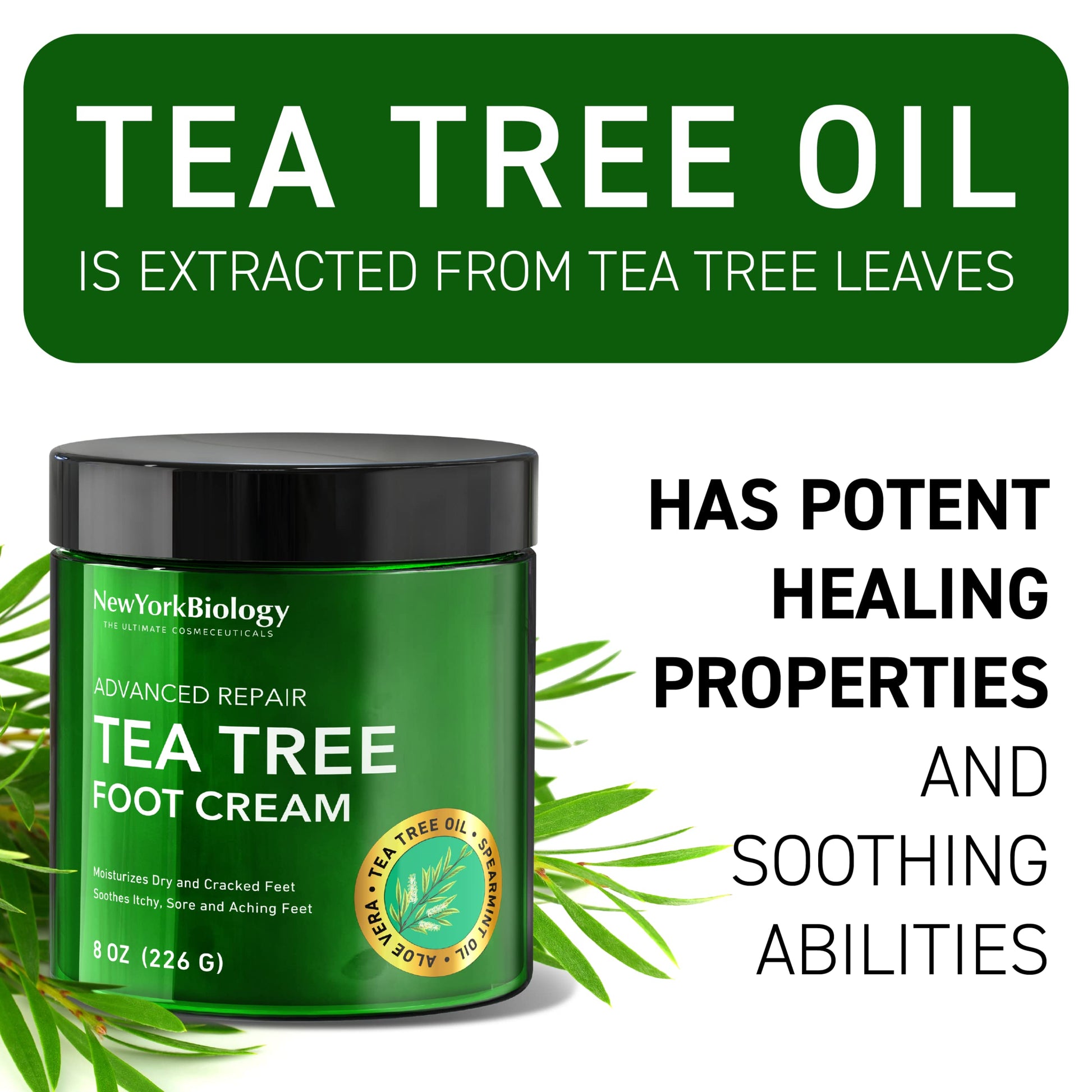 New York Biology Tea Tree Oil Foot Cream for Dry Cracked Feet, Athletes Foot, Nail Fungus NEW YORK BIOLOGY THE ULTIMATE COSMECEUTICALS buy supplements canada