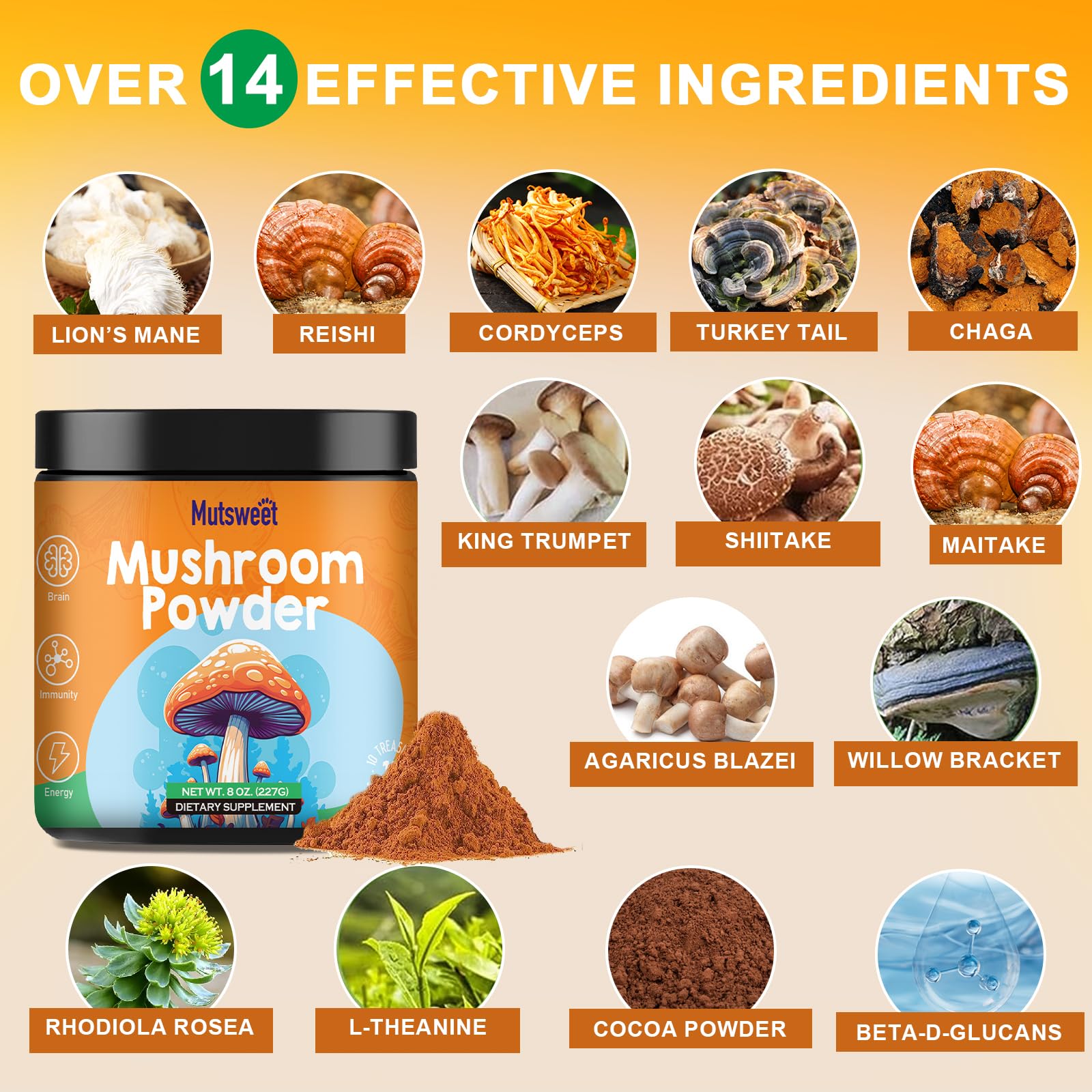 Mushroom Powder Blend (75 Servings), Ten Mushroom Supplement with Lions Mane Mutsweet buy supplements canada