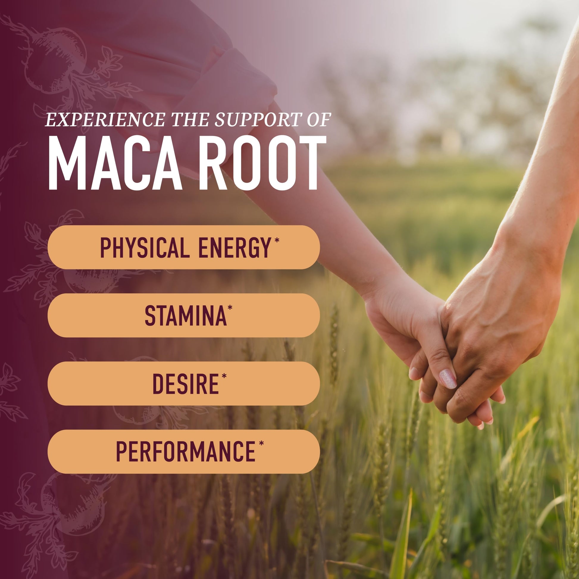 Maca Root Gummies with Natural Peach Flavor | Drive, Performance & Energy Support | Hormone Balance for Women and Men | Herbal Supplements 200MG Extra Strength | Vegetarian, Non-GMO | 60 Gummies SMNutrition buy supplements canada