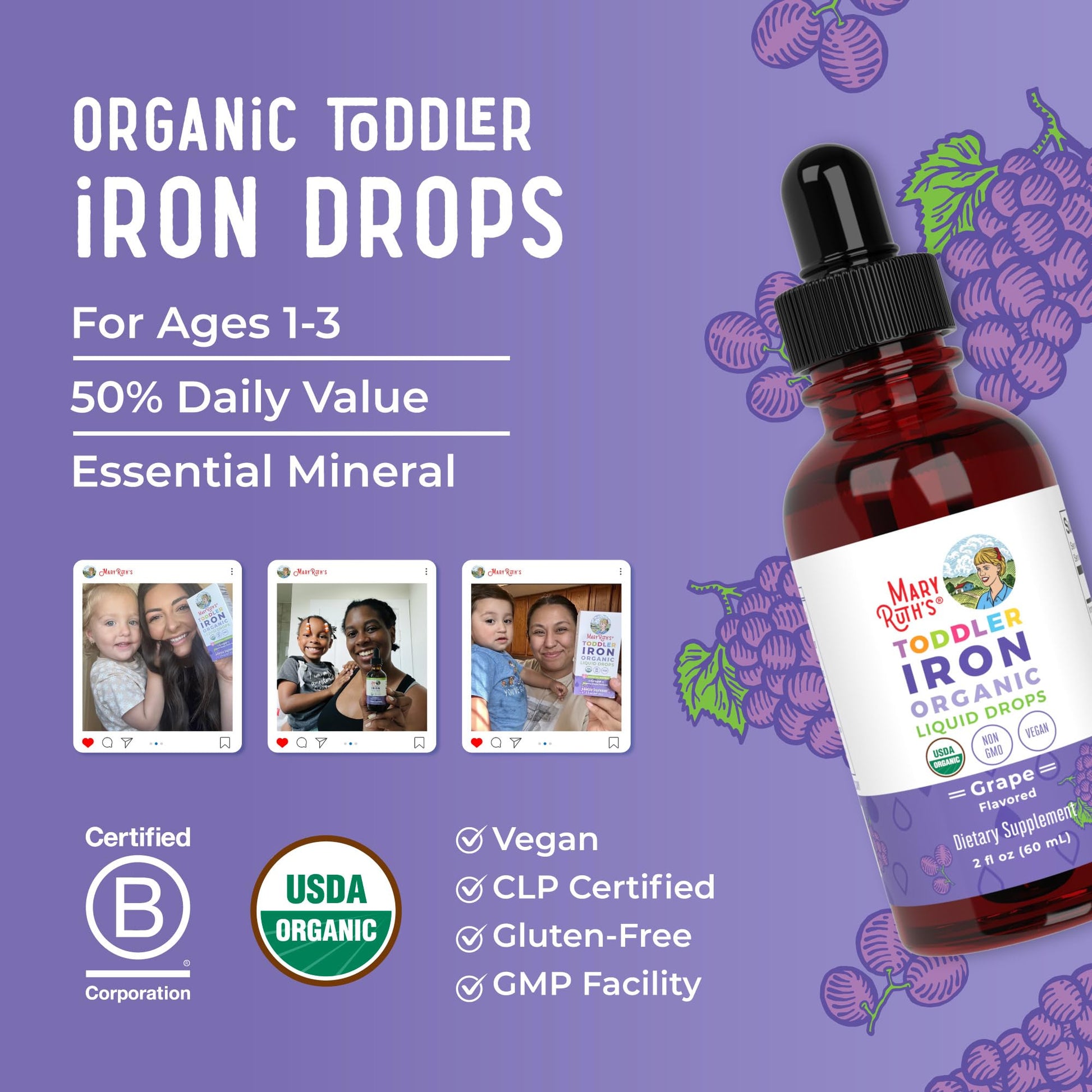 MaryRuth's Iron Supplement for Toddlers | Liquid Iron Supplement for Children Ages 1-3 | Iron Supplement for Iron Deficiency | Ferrochel | Sugar Free | Vegan | Non-GMO | Gluten Free | 2 Fl Oz MARYRUTH'S buy supplements canada