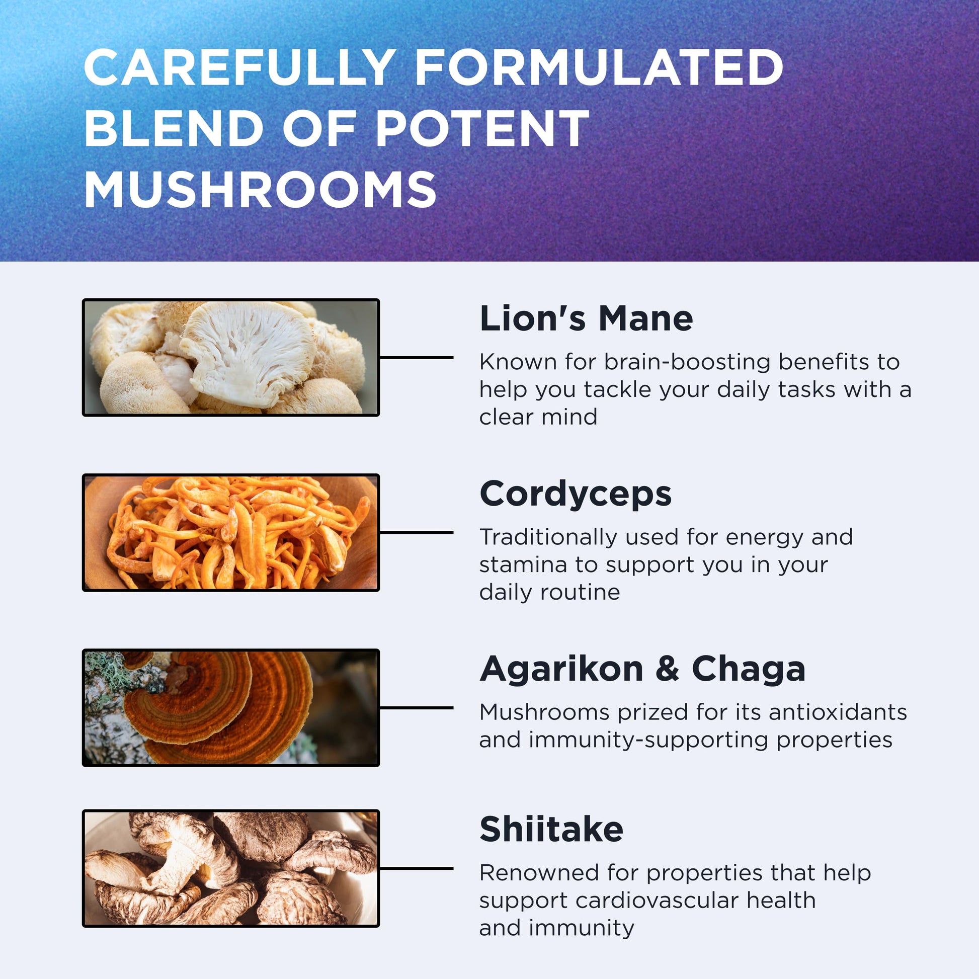 DR. EMIL NUTRITION 10 Mushroom Supplement for Mental Clarity, Focus & Immune Support - Functional Mushroom Nootropic Supplement with Lions Mane Extract, Cordyceps, Turkey Tail & More DR. EMIL NUTRITION buy supplements canada