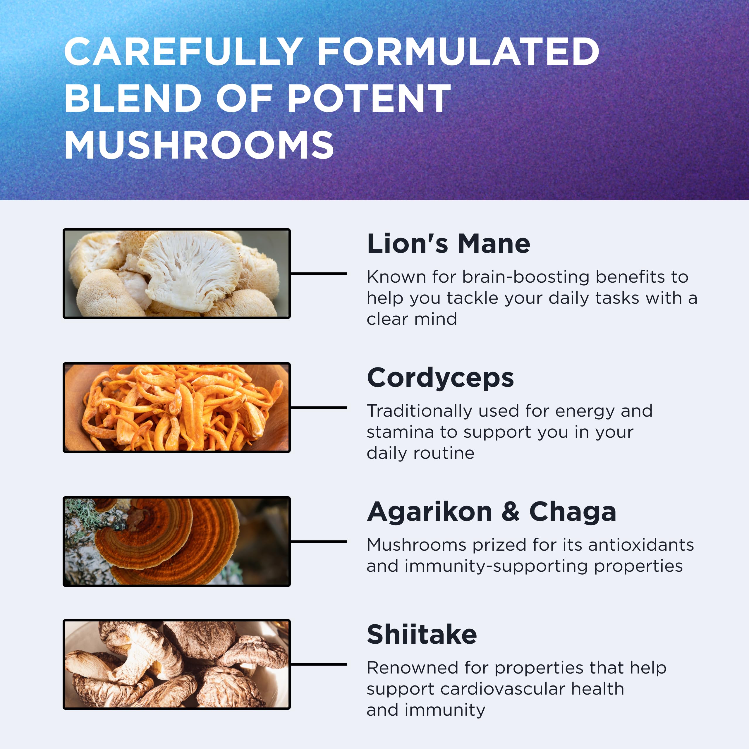 DR. EMIL NUTRITION 10 Mushroom Supplement for Mental Clarity, Focus & Immune Support - Functional Mushroom Nootropic Supplement with Lions Mane Extract, Cordyceps, Turkey Tail & More DR. EMIL NUTRITION buy supplements canada