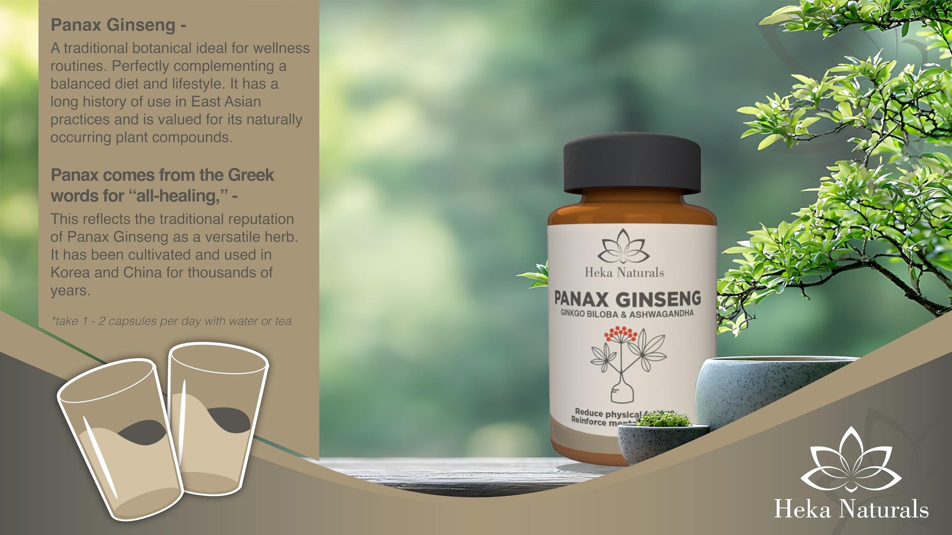Heka Naturals Panax Ginseng Complex | 90 Capsules with Korean Ginseng, Ginkgo Biloba, Ashwagandha, Beetroot & Green Tea, Botanical Blend with Herbal Ingredients for Balanced | Food Supplement Heka Naturals buy supplements canada