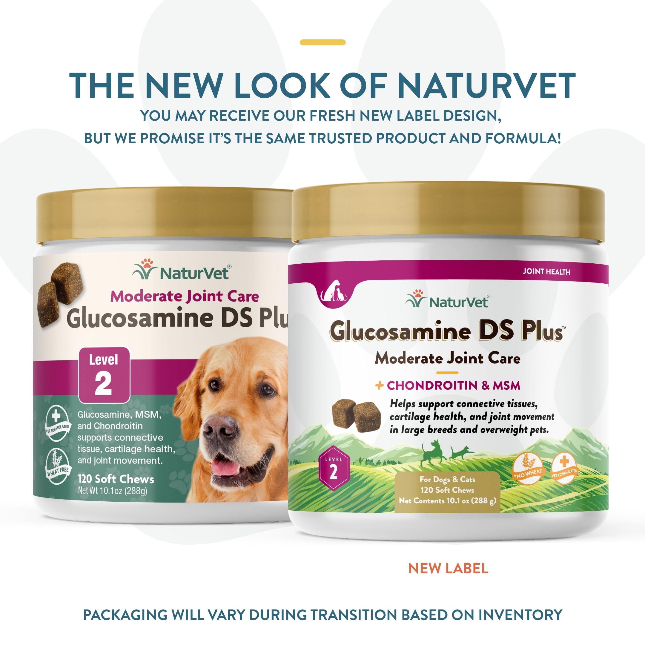 NaturVet – Glucosamine DS Plus - Level 2 Moderate Care – Supports Healthy Hip & Joint Function – Enhanced with Glucosamine, MSM & Chondroitin – for Dogs & Cats–120 Soft Chews NaturVet buy supplements canada
