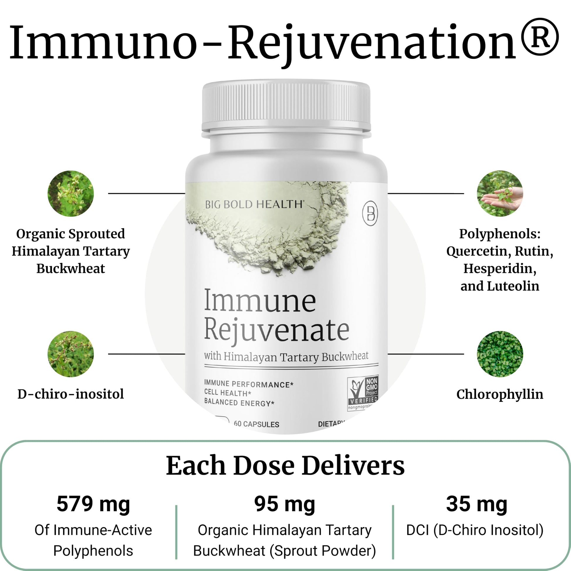 BIG BOLD HEALTH HTB Immune Rejuvenate - Polyphenols Supplement for Immune Support with Himalayan Tartary Buckwheat - Gluten Free, Dairy Free, Non-GMO Formula - 60 Vegetarian Capsules BIG BOLD HEALTH buy supplements canada