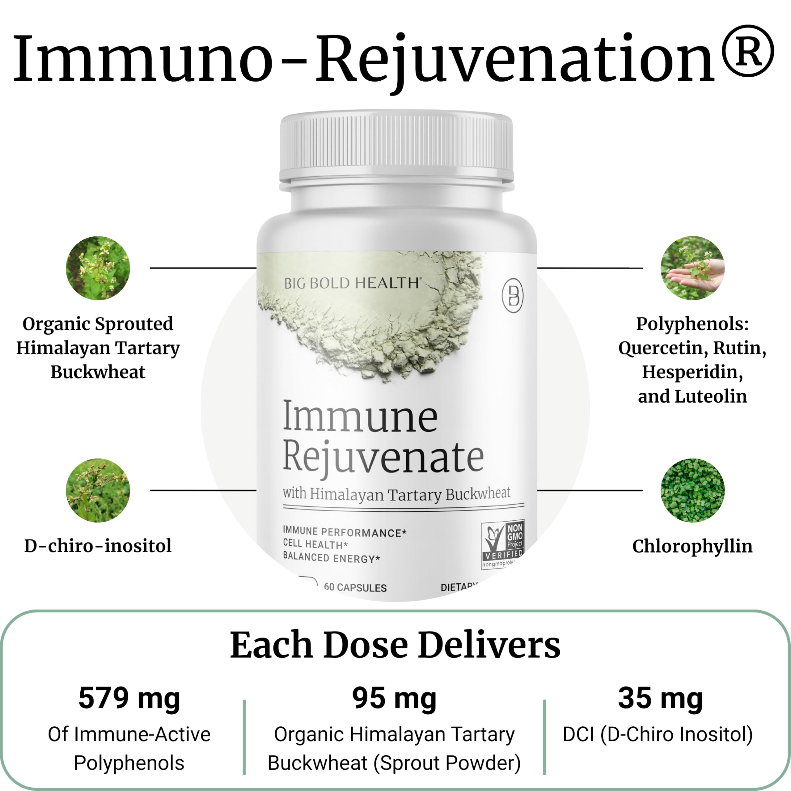 BIG BOLD HEALTH HTB Immune Rejuvenate - Polyphenols Supplement for Immune Support with Himalayan Tartary Buckwheat - Gluten Free, Dairy Free, Non-GMO Formula - 60 Vegetarian Capsules BIG BOLD HEALTH buy supplements canada