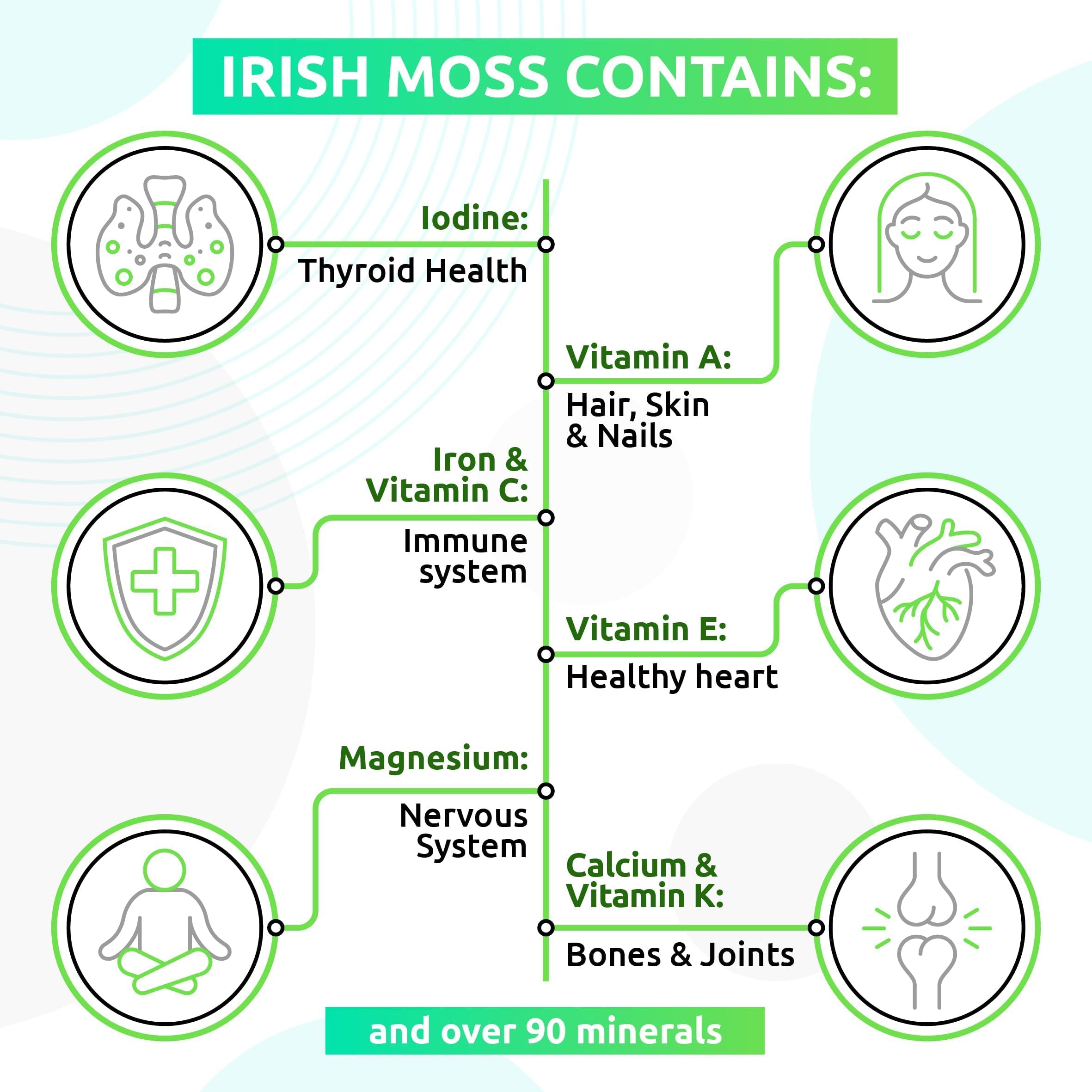 TrueSeaMoss Wildcrafted Irish Sea Moss Gel – Nutritious Raw Seamoss Rich in Minerals TrueSeaMoss buy supplements canada
