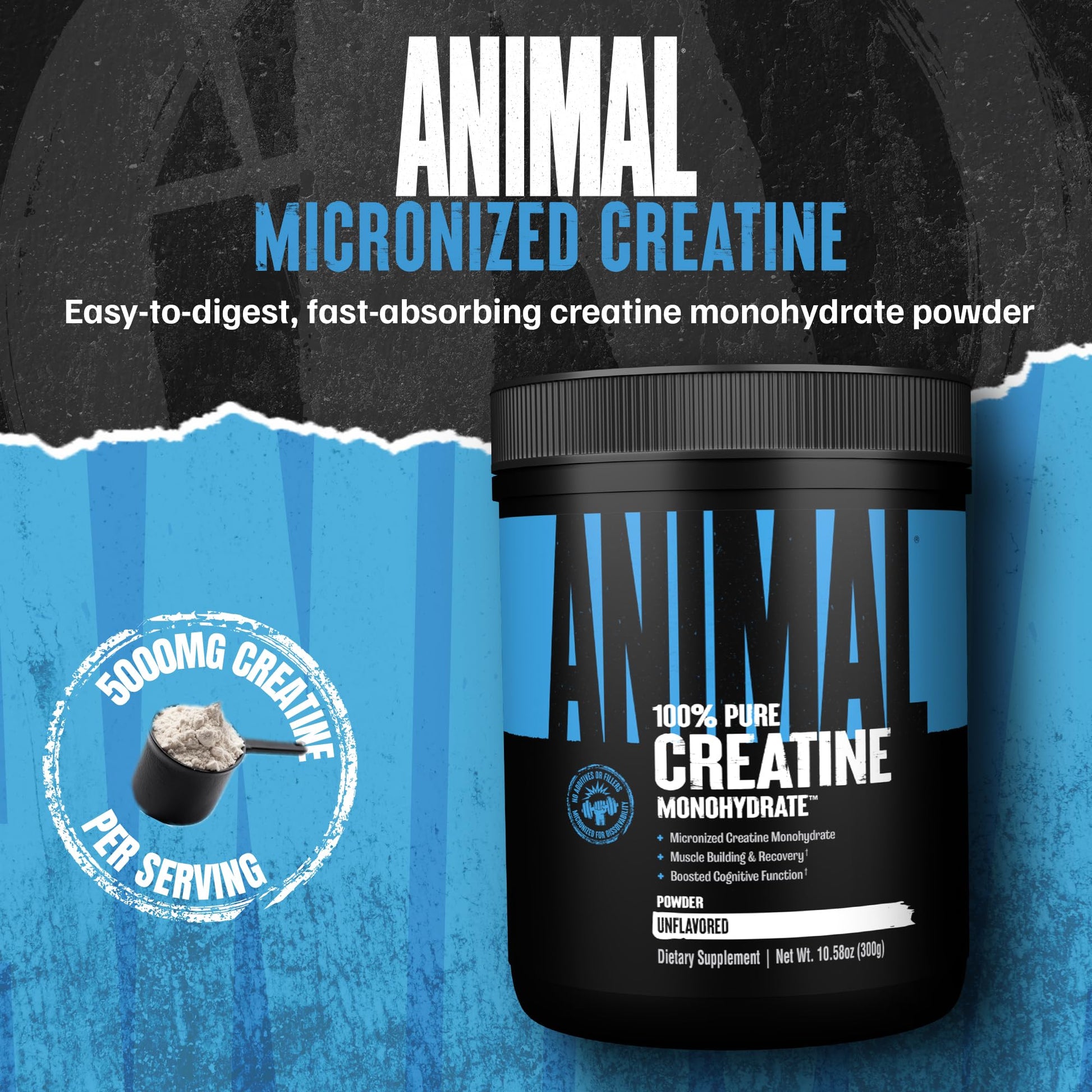 Animal Creatine Monohydrate Powder – Micronized Creatine for Women and Men, Supports Muscle Growth, Strength, Endurance, Recovery and ATP Production, Gym & Workout Supplements - Unflavored, 300g Animal buy supplements canada
