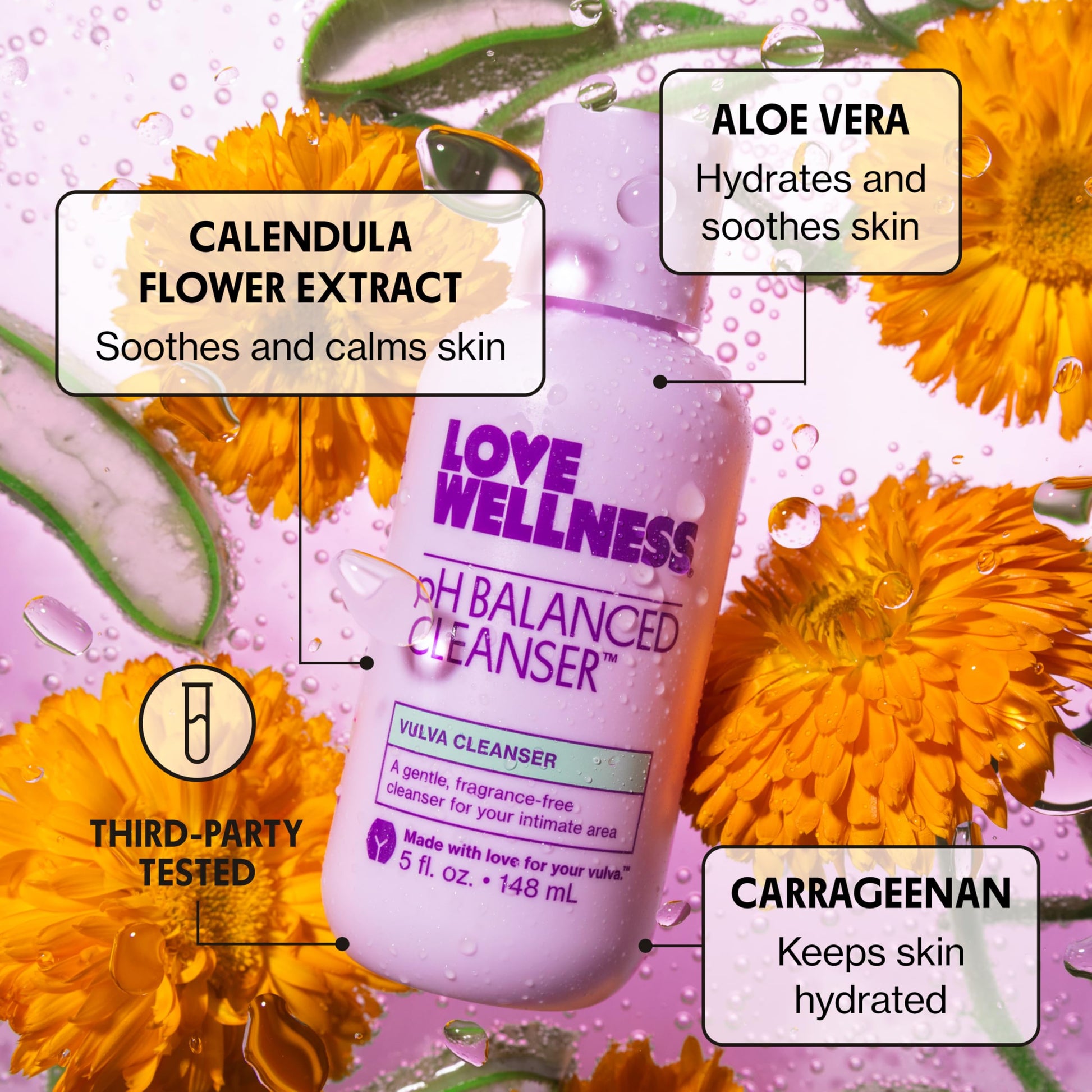Love Wellness pH Balancing Cleanser | Feminine Vaginal Wash | Fragrance-Free | Vaginal Cleanser for Balanced pH, Intimate Health & Hygiene | Non-Irritating with Aloe Vera for Sensitive Skin | 5 Fl Oz Love Wellness buy supplements canada