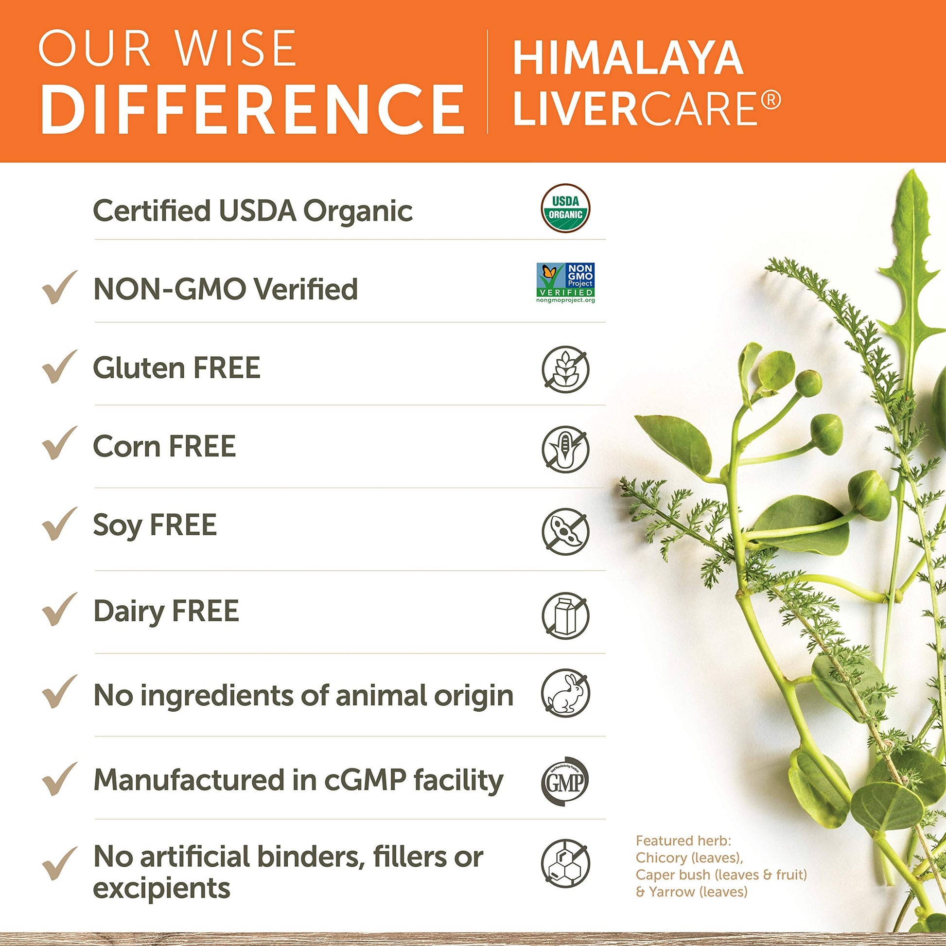 Himalaya LiverCare for Liver Cleanse and Liver Detox, 375 mg, 180 Capsules Himalaya buy supplements canada