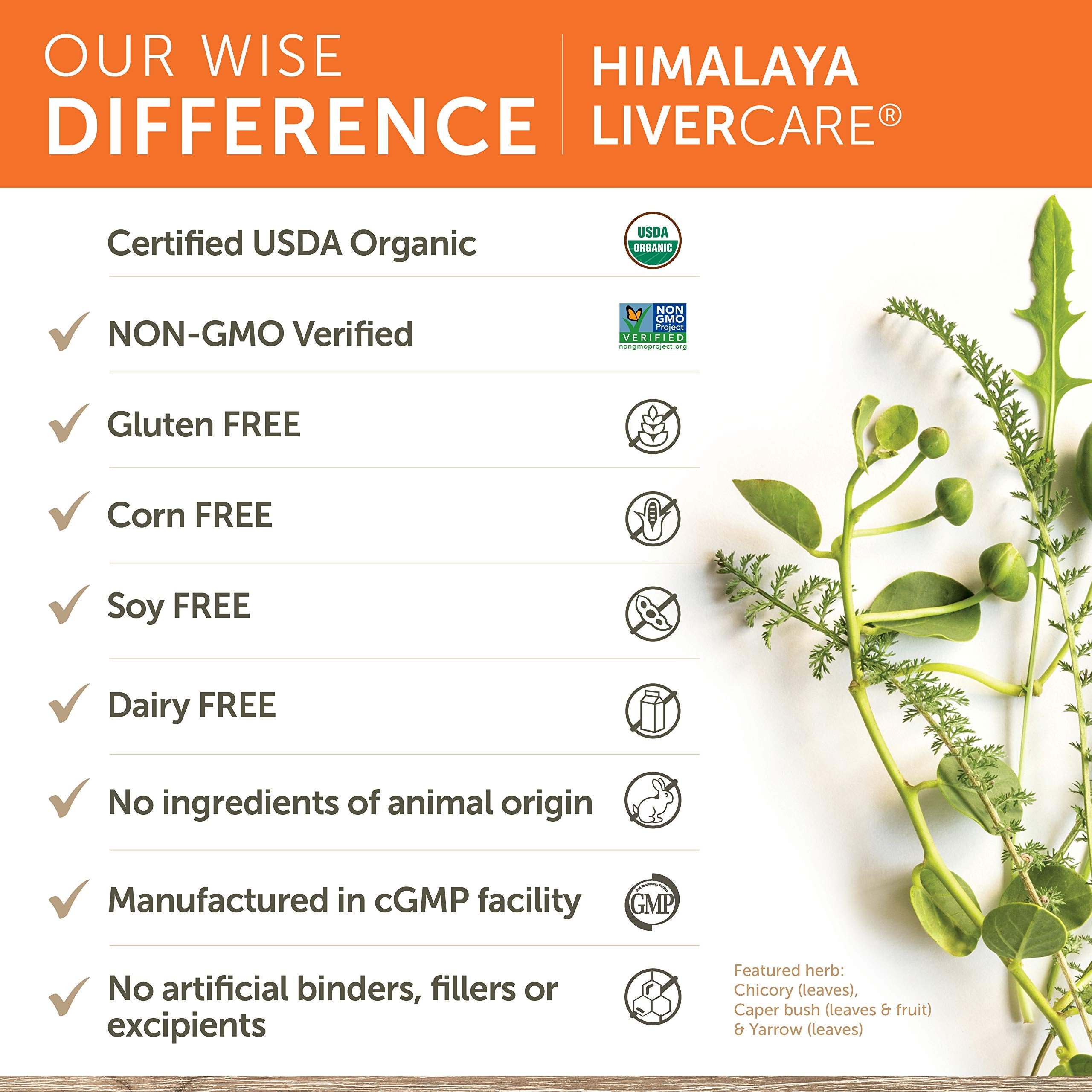 Himalaya LiverCare for Liver Cleanse and Liver Detox, 375 mg, 180 Capsules Himalaya buy supplements canada