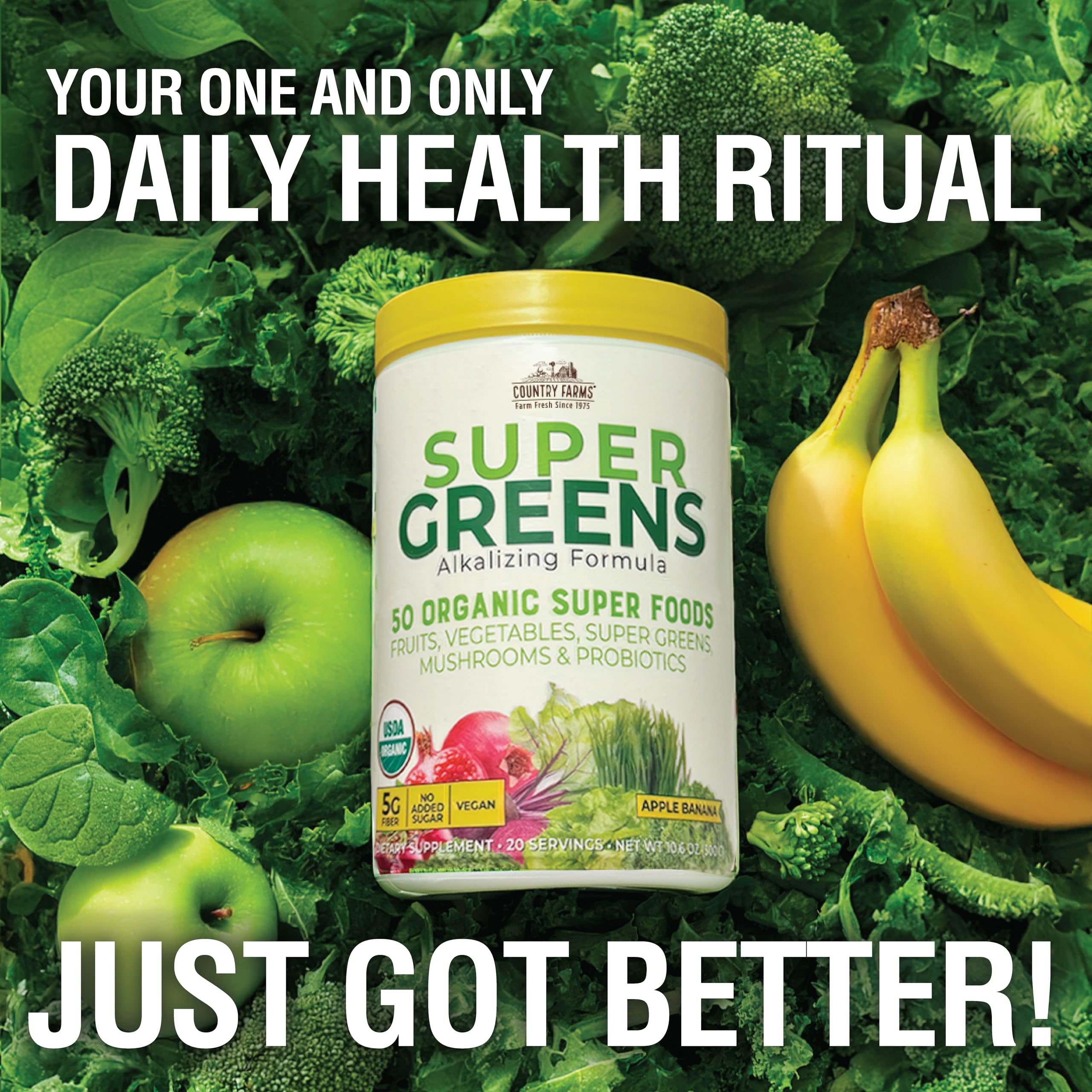 Country Farms Super Greens Apple Banana Powder Smoothie, Organic Super Foods, USDA Organic Drink Mix, Fruits, Vegetables, Mushrooms, Superfood Nutrition, 40 Servings, 2 Pack Country Farms buy supplements canada