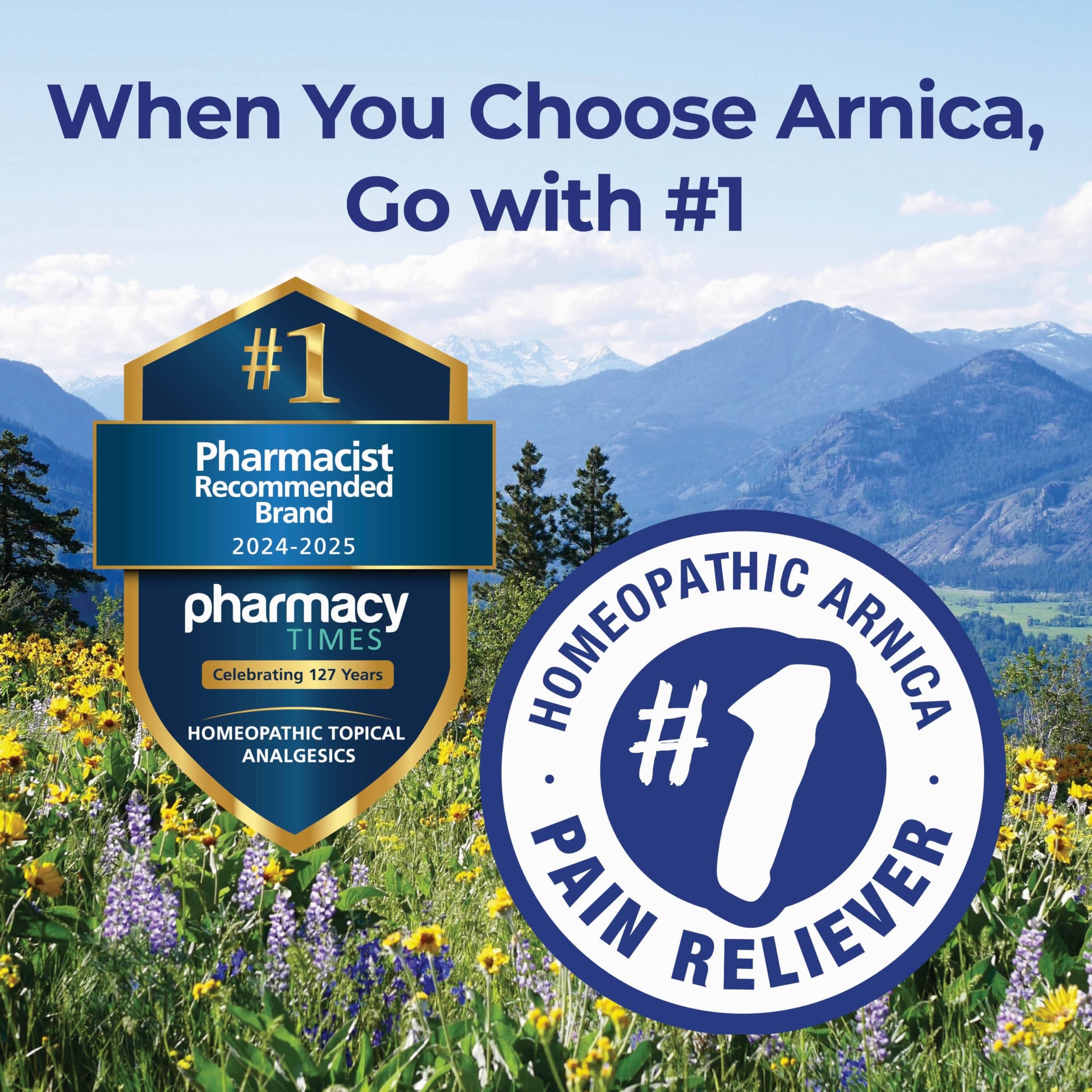 Boiron Arnicare Gel for Joint Pain, Muscle Pain, Swelling, Soreness, and Stiffness - Non-greasy and Fragrance-Free - 2.6 oz Boiron buy supplements canada