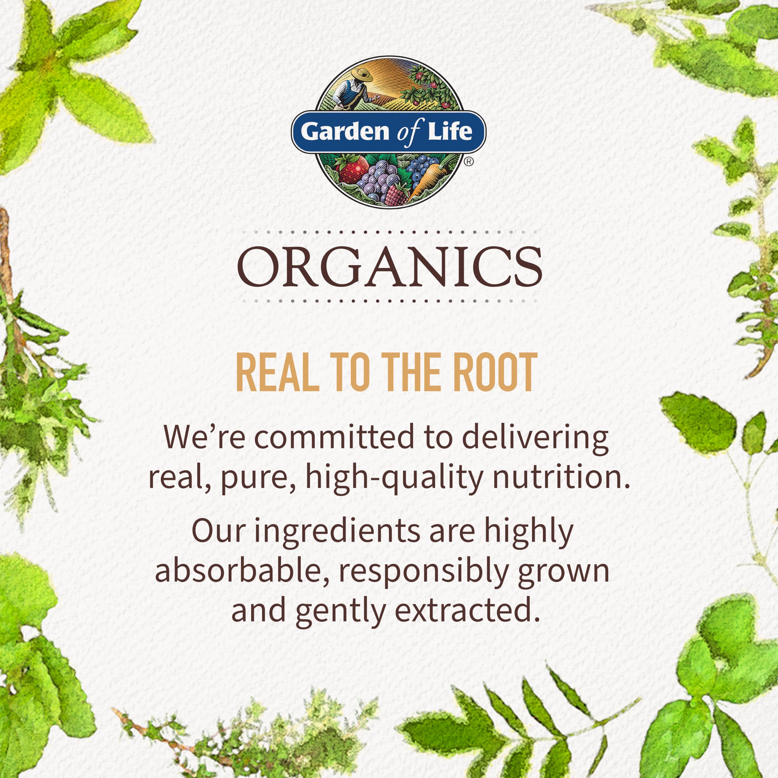 Garden of Life Organics Whole Food Multivitamin for Men, 60 Tablets, Vegan Mens Vitamins and Minerals for Health and Well-Being Garden of Life buy supplements canada
