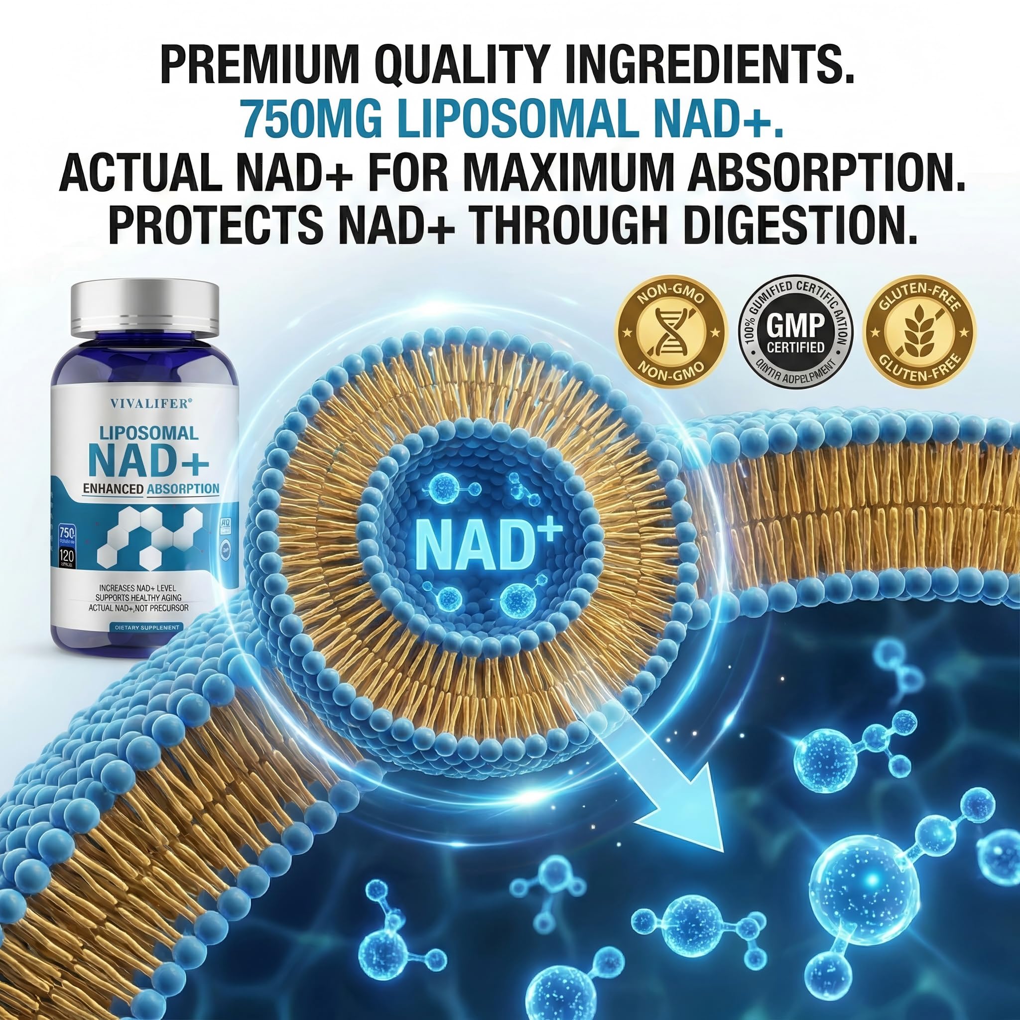 Liposomal NAD+ Supplement 750mg - 120 Capsules NMN Alternative Superior Absorption & Bioavailability -True Nicotinamide Adenine Dinucleotide for Cellular Energy, DNA Repair Support & Healthy Aging DQQI buy supplements canada