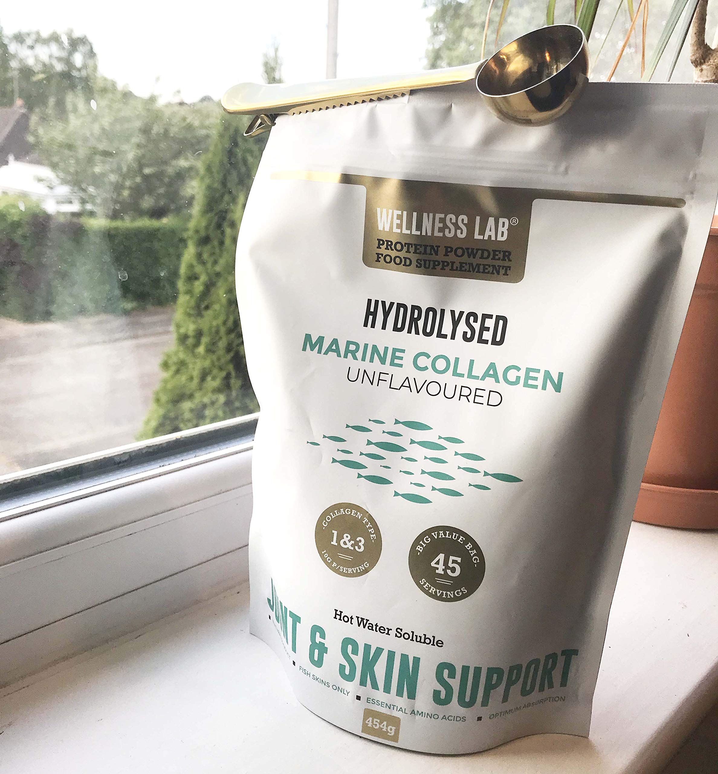 Cleanest Marine Collagen Peptides | Wellness Lab 454g | Type I,III | Highest Bioavailability Hydrolysed Protein Wellness Lab buy supplements canada
