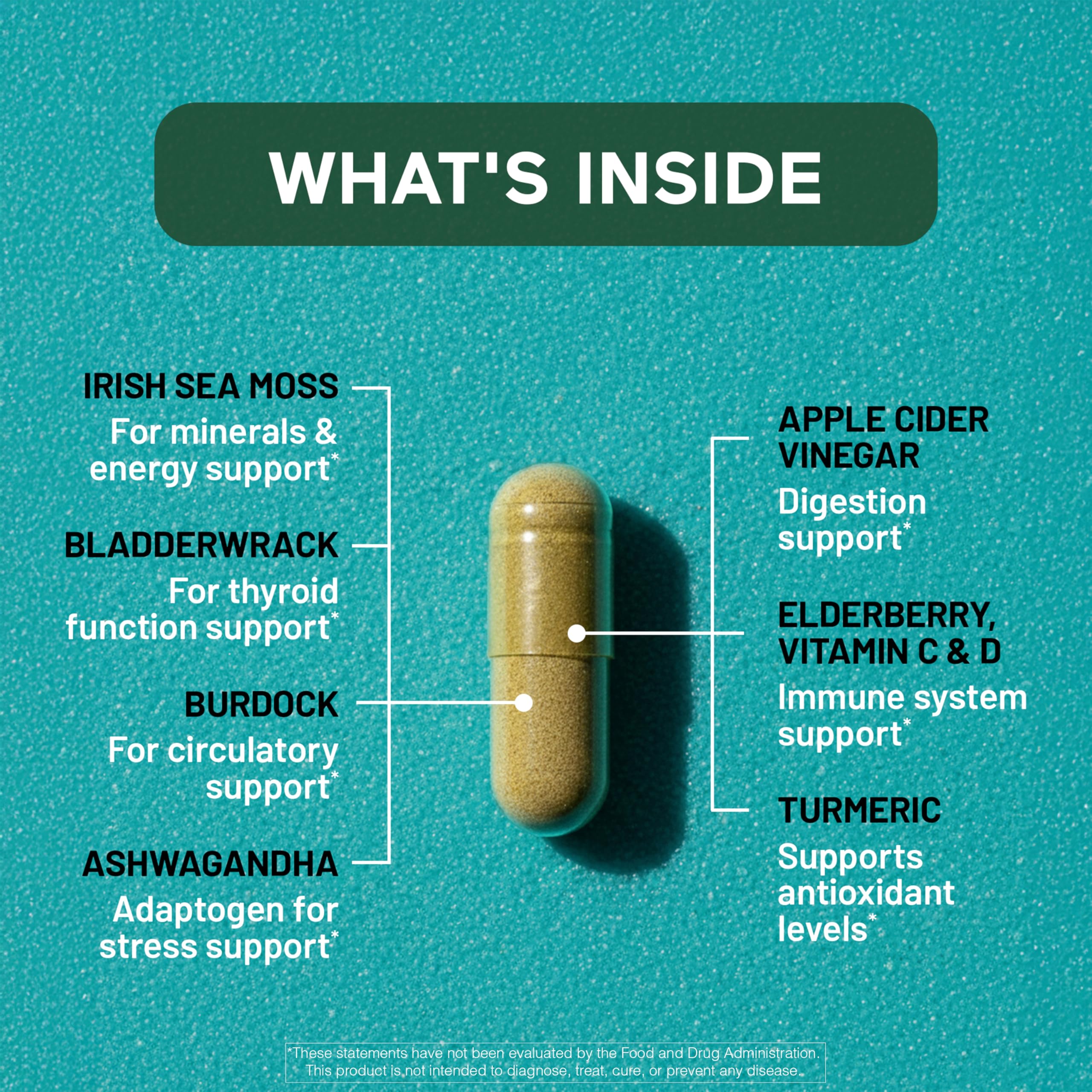 SMARTERNUTRITION Sea Moss Multimineral with Irish Sea Moss with Ashwagandha Bladderwrack Turmeric Zinc Vitamin C Elderberry Dandelion - Non-GMO, USA Manufactured - 60 Capsules[30 Day Supply] SMARTERNUTRITION buy supplements canada