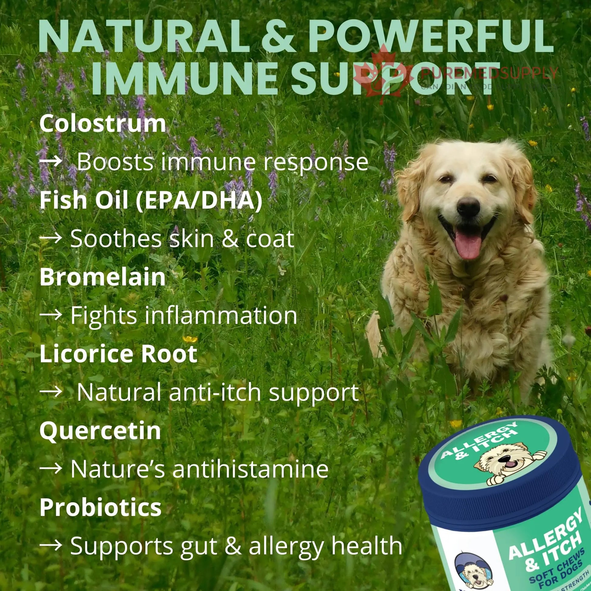 Under the Weather Allergy & Itch Pet Allergy Chews for Dogs | Vet Formulated Skin Support for Canines | Soothing Dog Allergies and Itching Relief Supplement | 60 Count Under the Weather buy supplements canada