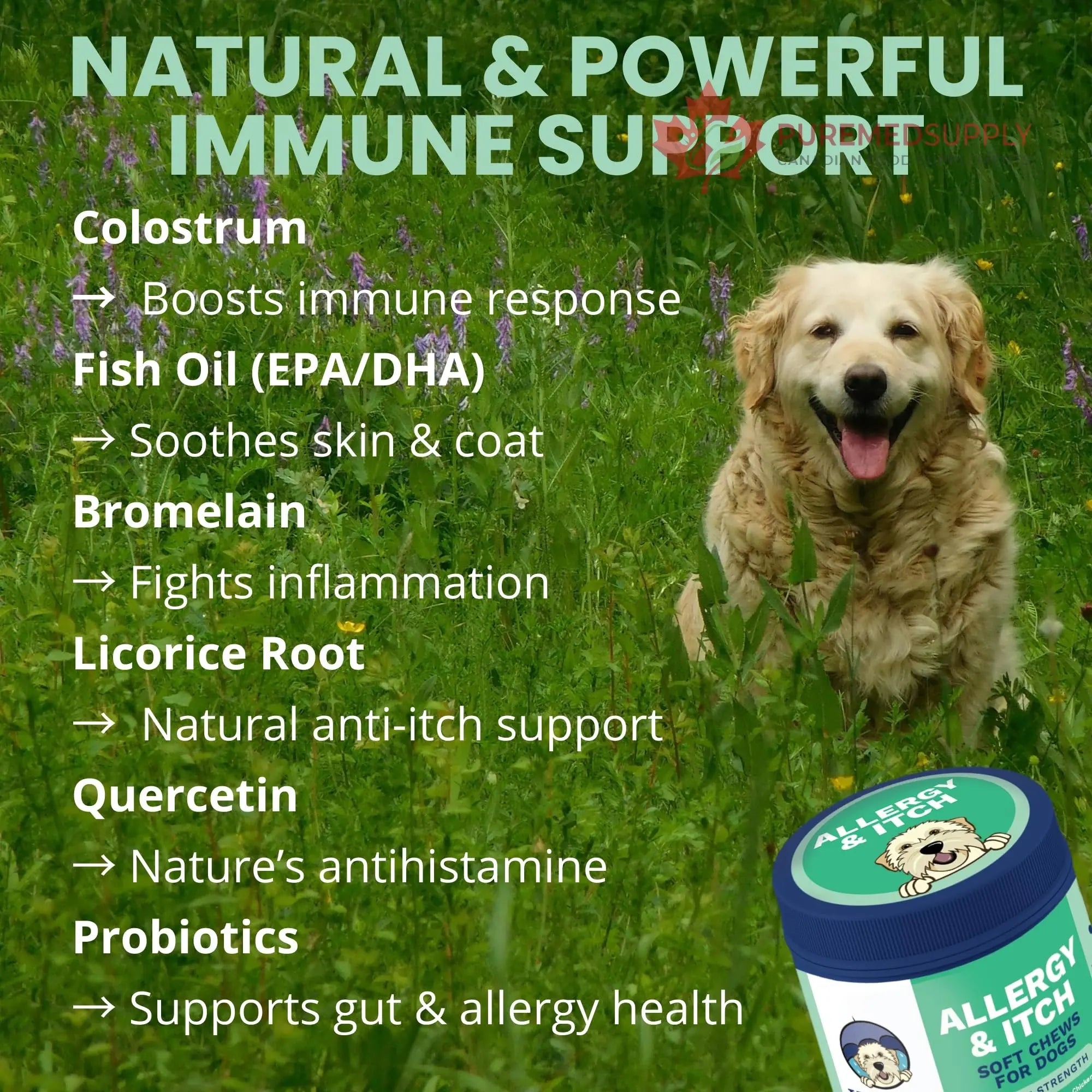 Under the Weather Allergy & Itch Pet Allergy Chews for Dogs | Vet Formulated Skin Support for Canines | Soothing Dog Allergies and Itching Relief Supplement | 60 Count Under the Weather buy supplements canada