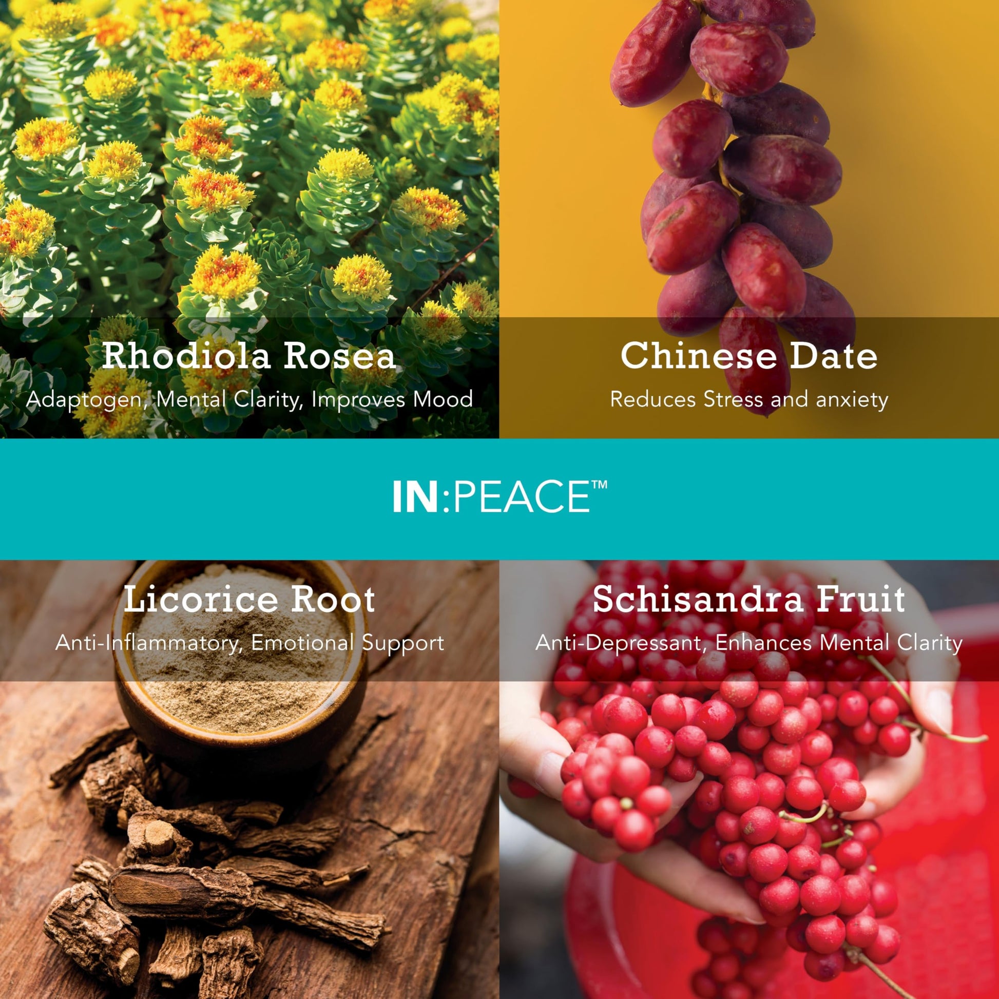 In:TotalWellness IN:Peace Herbal Calming Formula. 20 Serving Pouch, Wild Berry Flavor. 9 Herb Antioxidant + Adaptogen Blend. Clinically Proven Ingredients. Crafted by a Licensed Herbalist INTotalWellness buy supplements canada