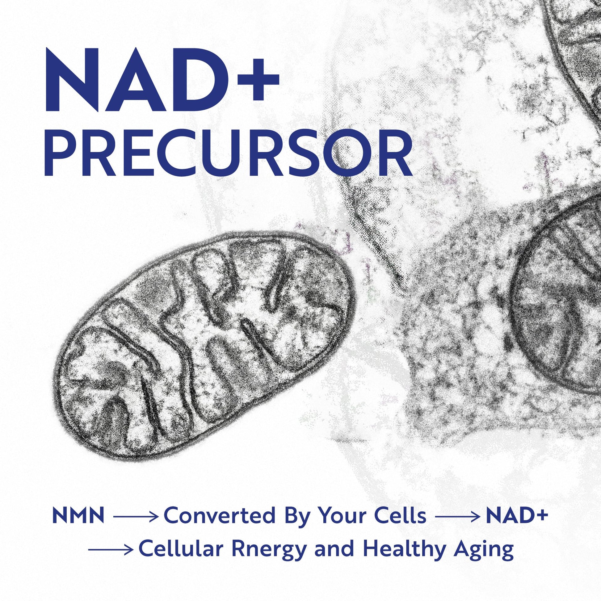 NMN Supplement 500mg | 99% Pure | NAD+ Precursor for Cellular Energy, Longevity, Repair, and Healthy Aging Support | Third-Party Tested & Non-GMO | Nicotinamide Mononucleotide | 60 NMN Capsules Nobi Nutrition buy supplements canada