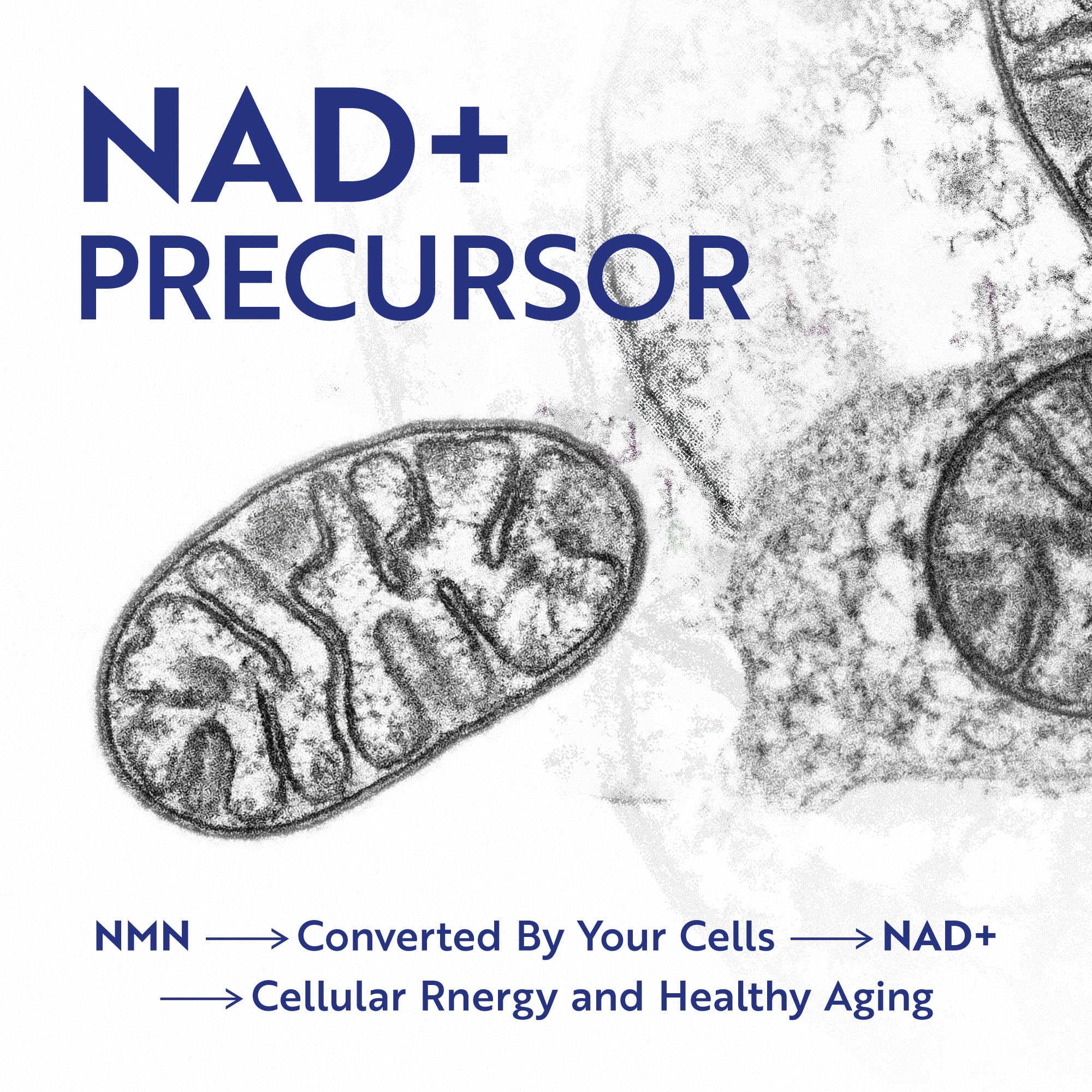 NMN Supplement 500mg | 99% Pure | NAD+ Precursor for Cellular Energy, Longevity, Repair, and Healthy Aging Support | Third-Party Tested & Non-GMO | Nicotinamide Mononucleotide | 60 NMN Capsules Nobi Nutrition buy supplements canada