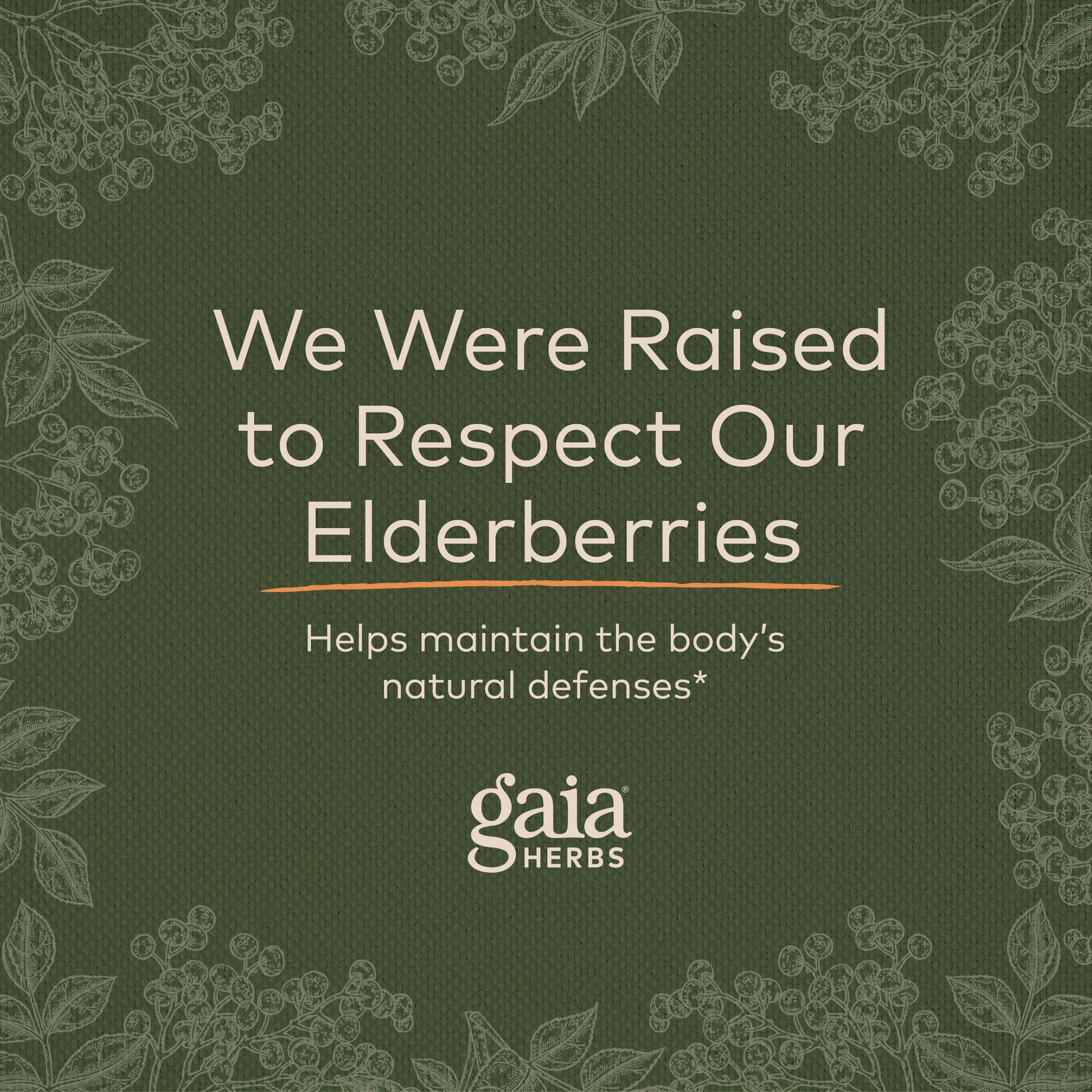 Gaia Herbs Black Elderberry (Sambucus Nigra) Extra Strength Gummies Gaia Herbs buy supplements canada
