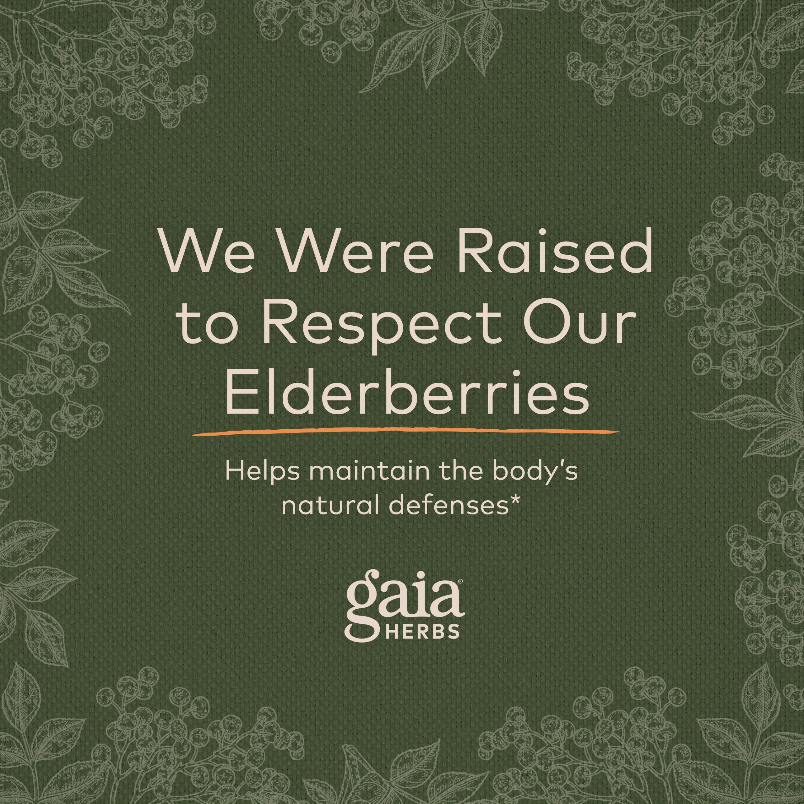 Gaia Herbs Black Elderberry (Sambucus Nigra) Extra Strength Gummies Gaia Herbs buy supplements canada