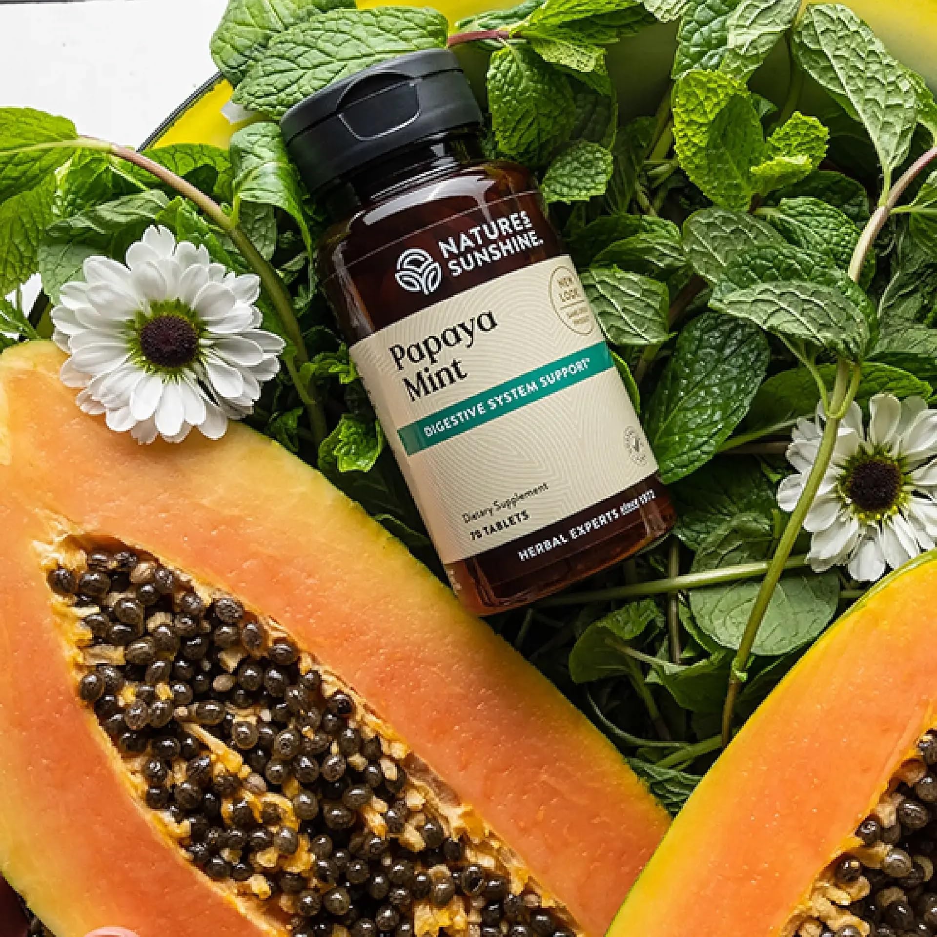 Papaya & Peppermint by Nature's Sunshine Nature's Sunshine buy supplements canada