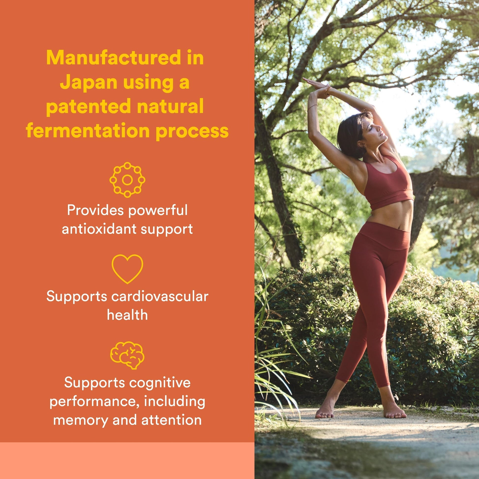 Natural Factors, PQQ-10, Supports Energy and Healthy Aging, Dietary Supplement, 60 softgels (60 servings) Natural Factors buy supplements canada