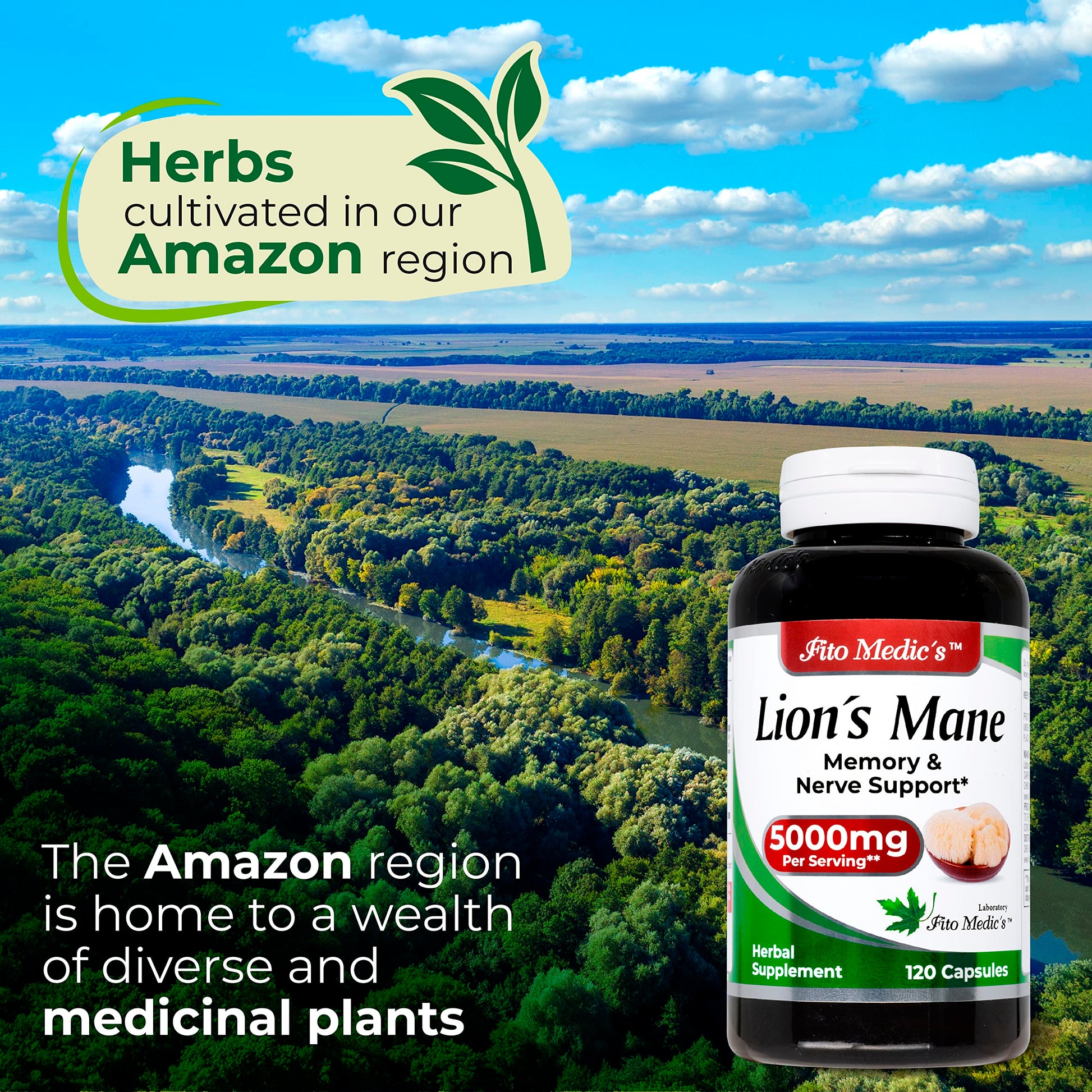 Lab | Lions Mane | 5000 mg per Serving | 120 Capsules | lions mane supplement | lions mane FITO MEDIC'S buy supplements canada