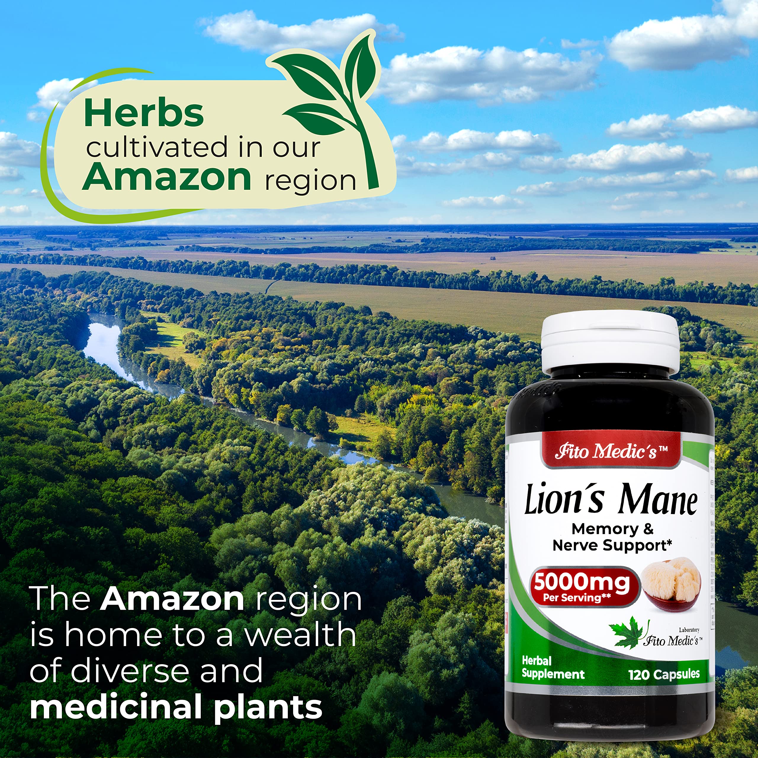 Lab | Lions Mane | 5000 mg per Serving | 120 Capsules | lions mane supplement | lions mane FITO MEDIC'S buy supplements canada