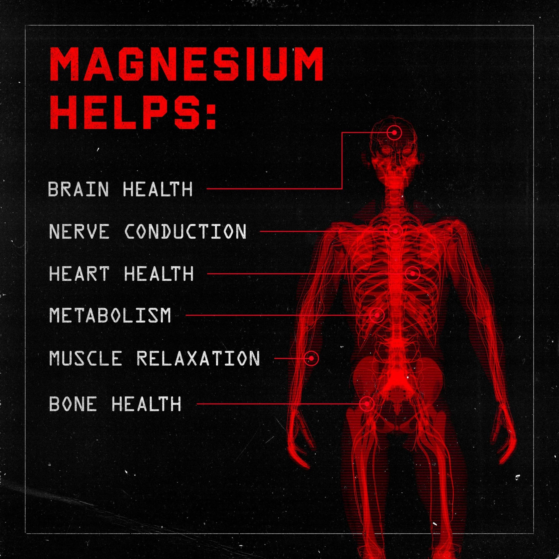 Jocko Fuel Magnesium Complex Supplement - Magnesium Glycinate, Citrate, & Taurate Capsules Dietary Supplement for Muscle Recovery & Relaxation, Heart, Nerve, Bone Support, & Sleep 30-Day Supply Jocko Fuel buy supplements canada