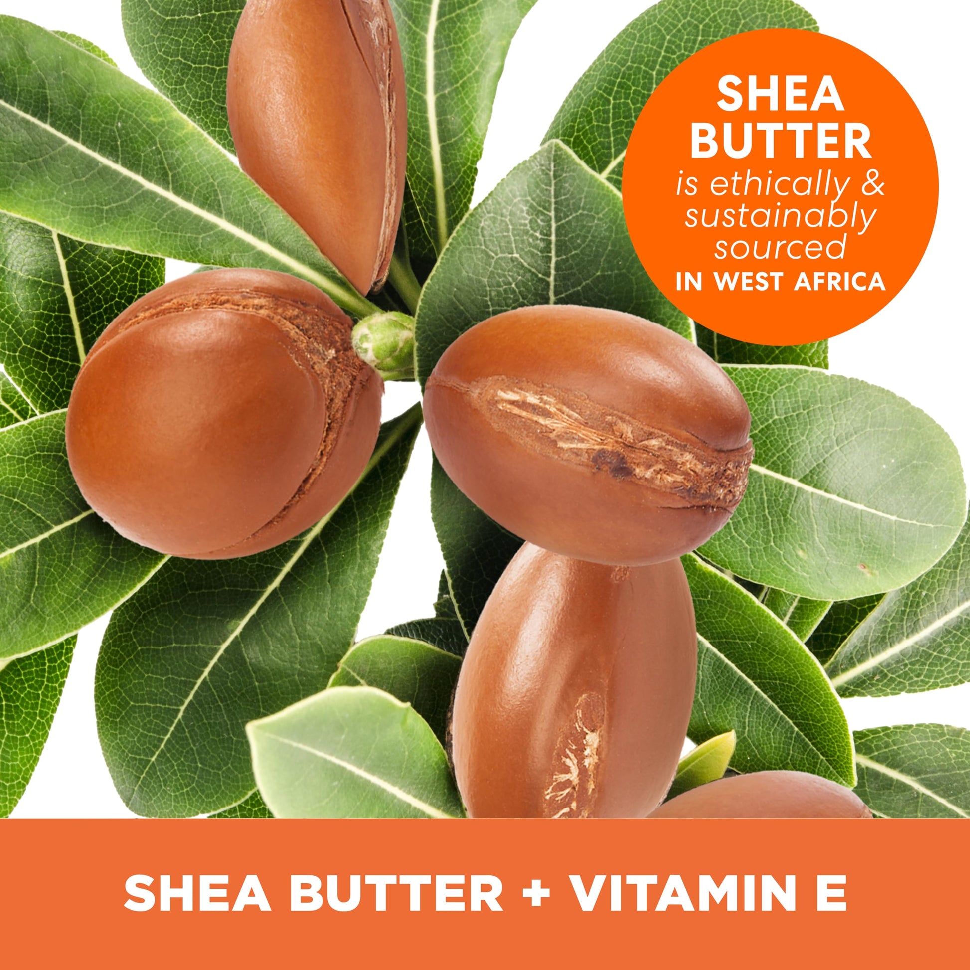 Palmer's Shea Butter Formula Raw African Shea Butter Balm, Nourishing Body Moisturizer Palmer's buy supplements canada